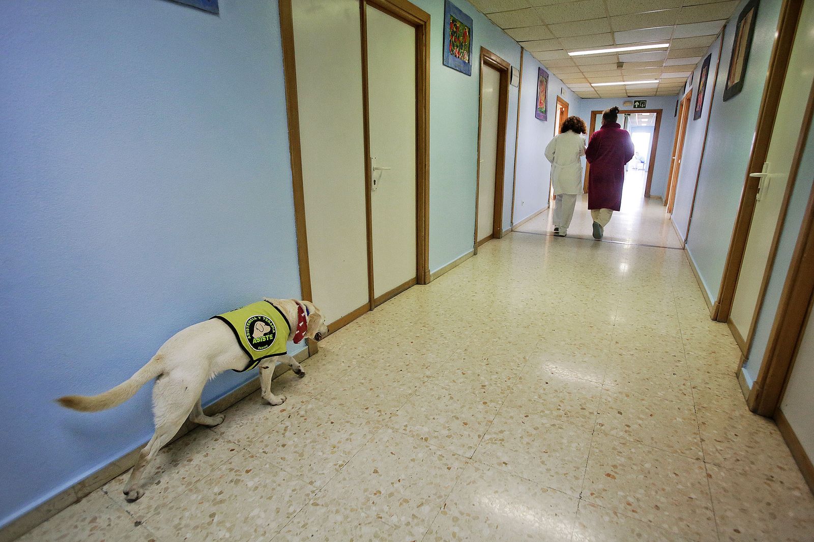 Unidad psiquiátrica del Clinico de Puerto Real