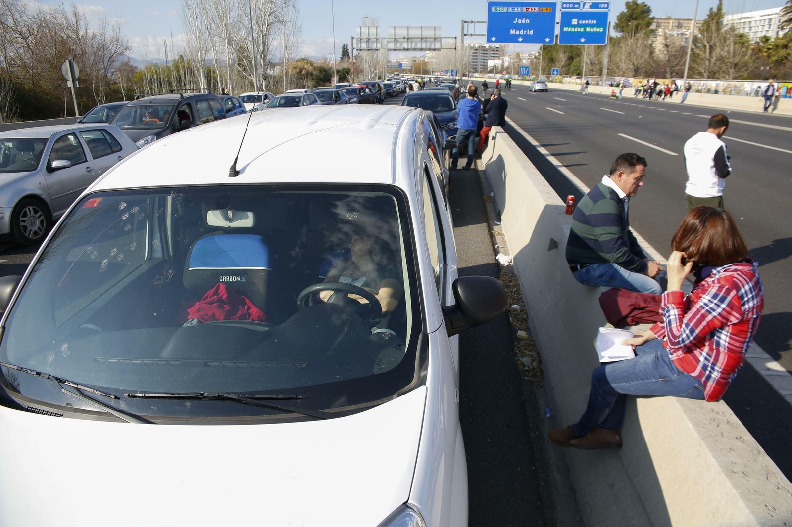 Curiosidades: las mejores fotos de la manifestación del campo en Granada