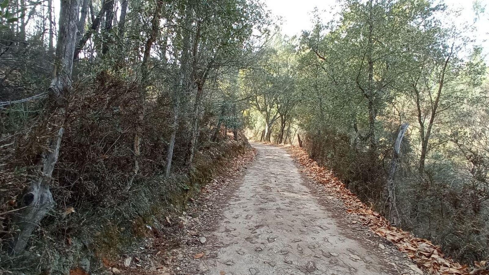 Buscamos Fuenteheridos tras cruzar la carretera
