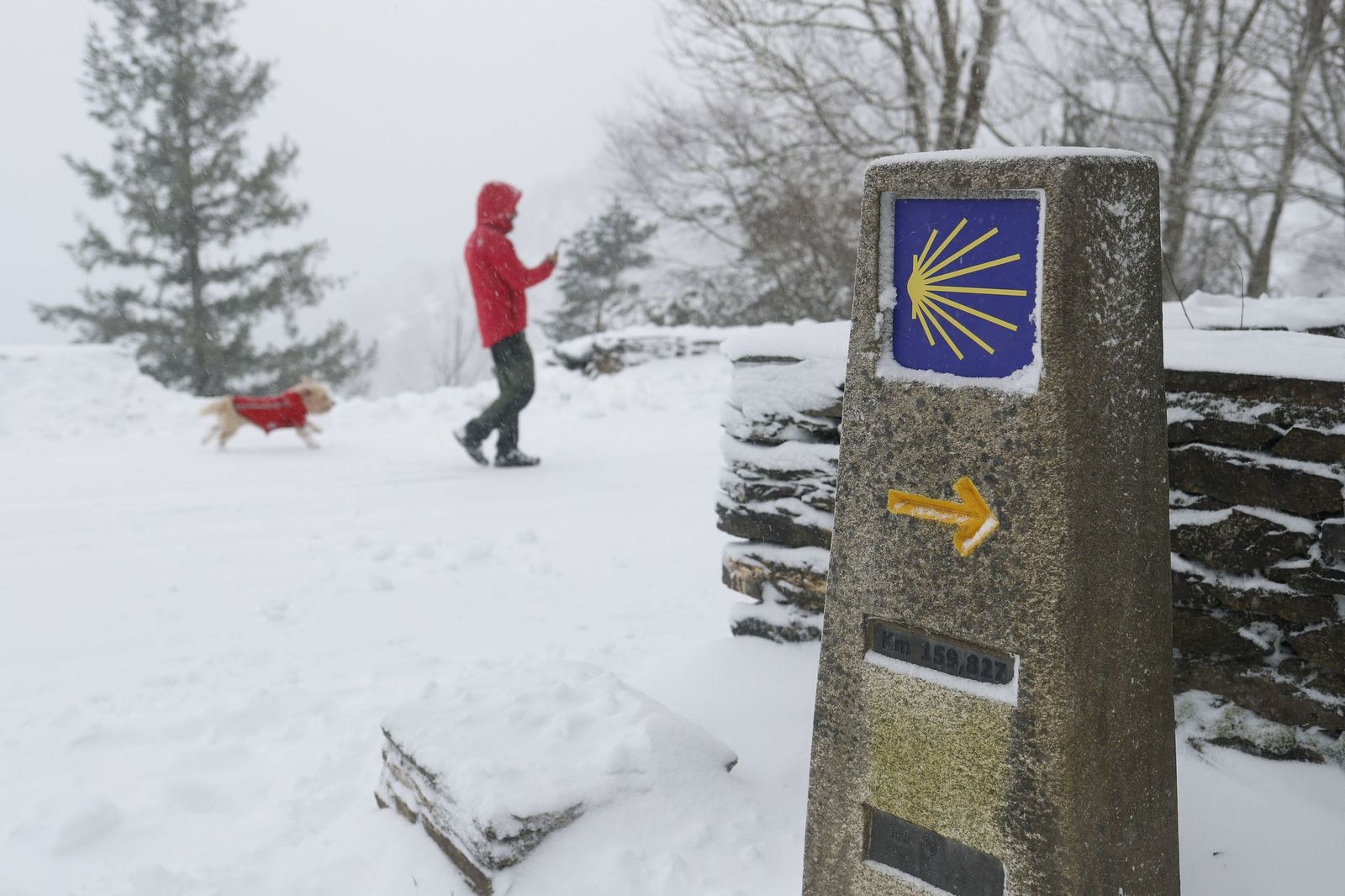 La nieve tiñe de blanco en norte de España