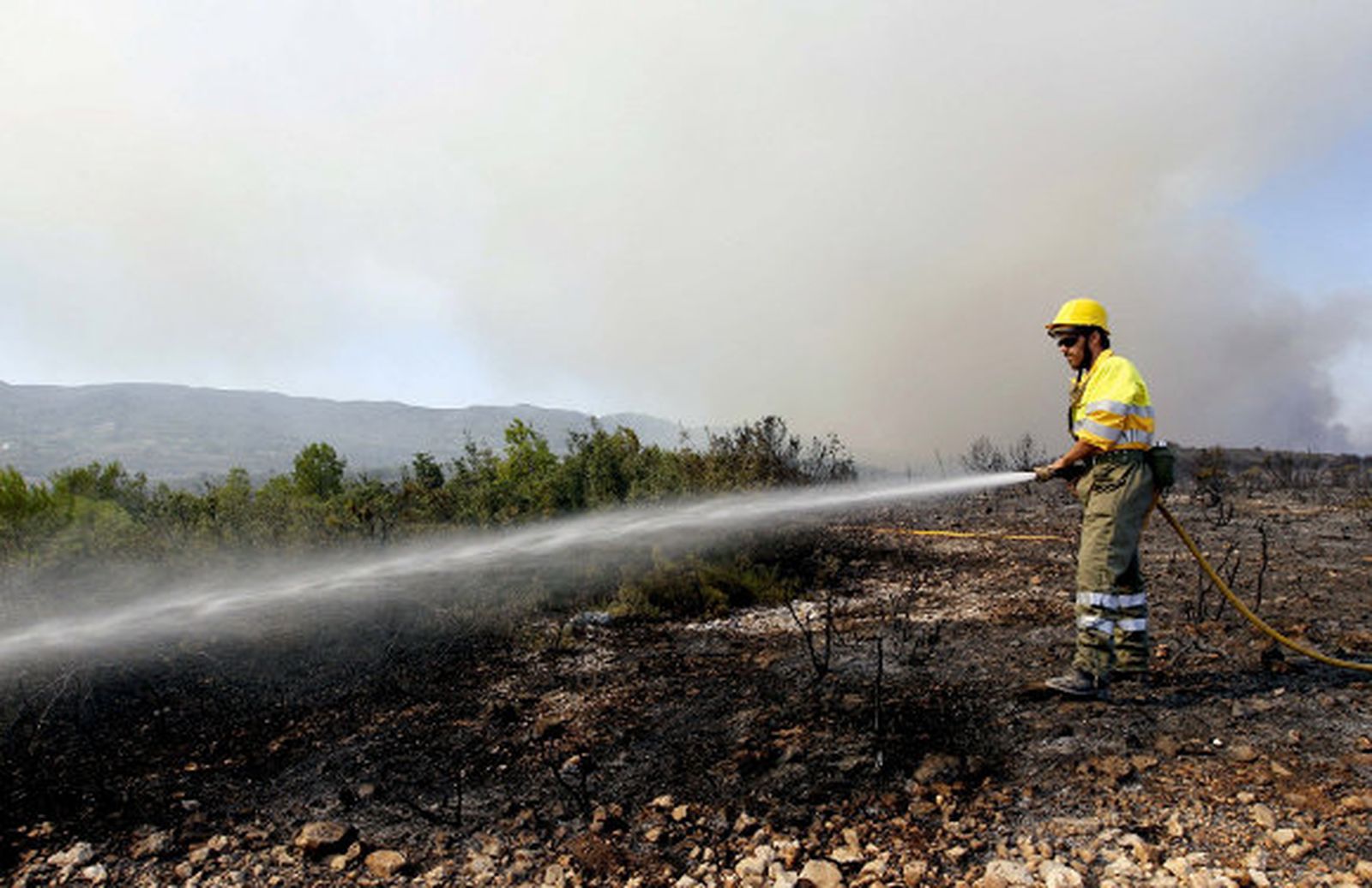 Los incendios de Valencia siguen activos y podrían haber sido intencionados