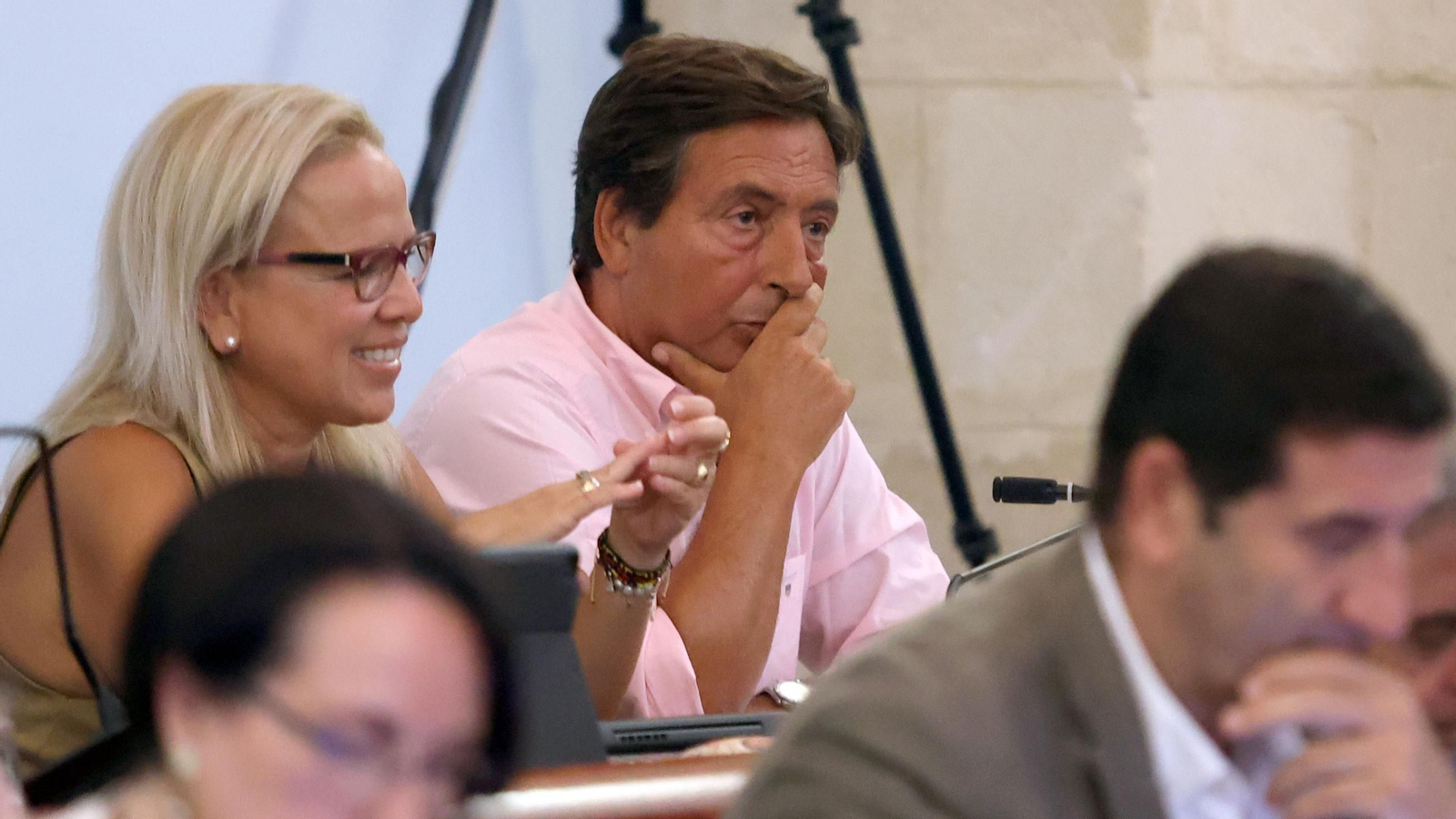 El delegado de Economía, Francisco Delgado, durante el pleno. El delegado de Economía, Francisco Delgado, durante el pleno.