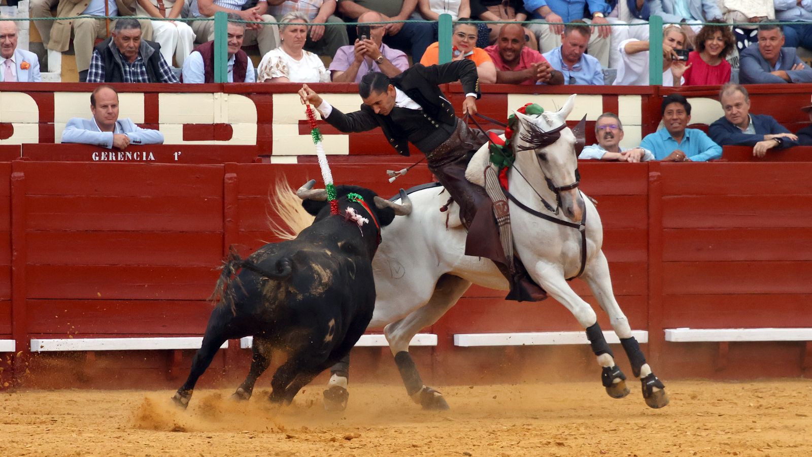 Toros en Jerez: El arte ecuestre