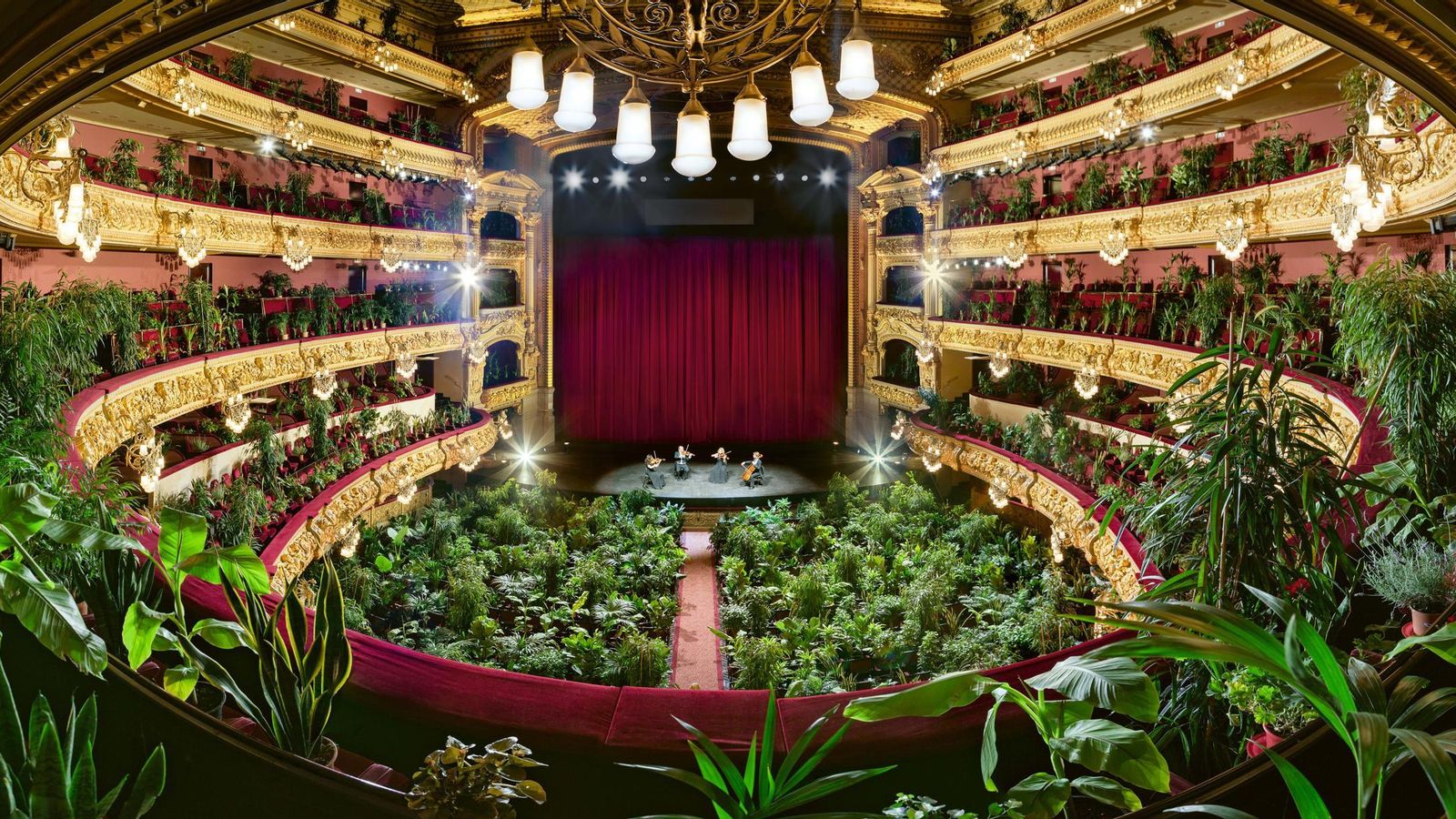 Un instante la performance 'Concierto para el bioceno', en el Liceo de Barcelona