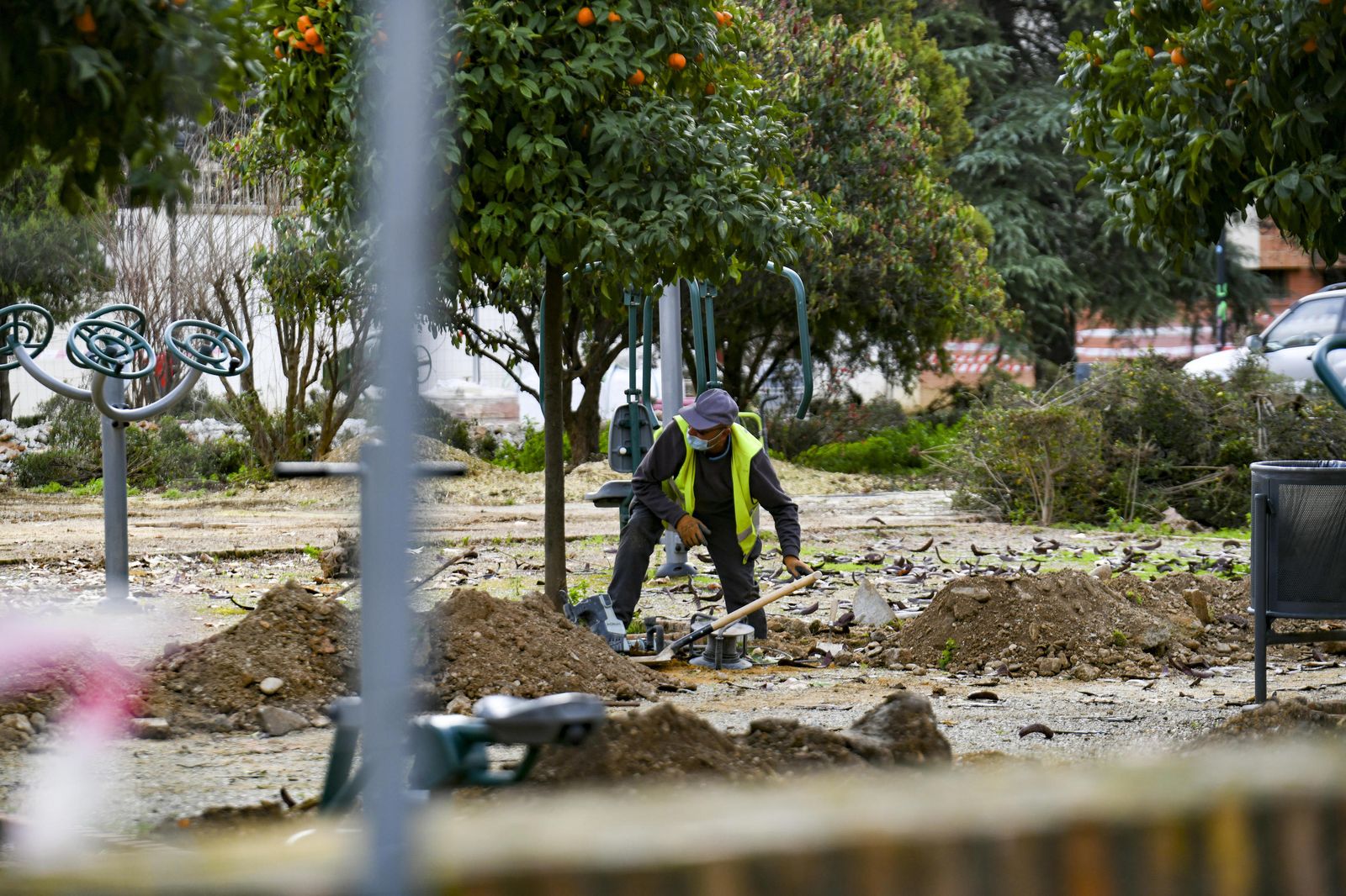 Fotos: así ha quedado la Plaza Escultor López Burgos tras otra poda en Granada