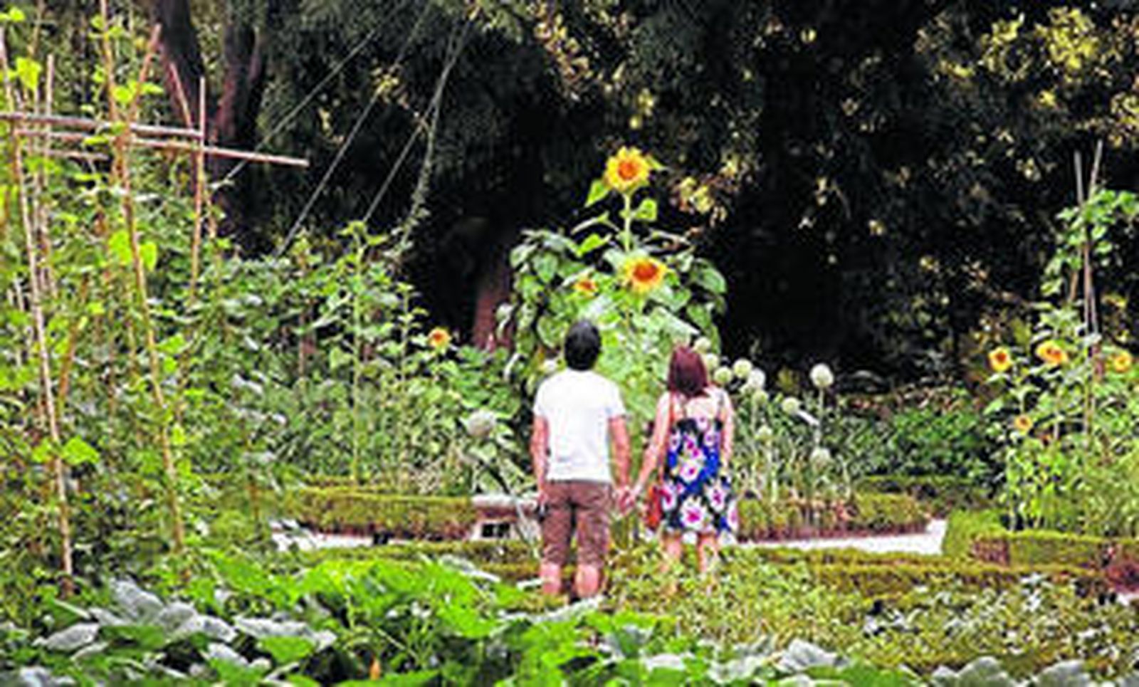 El mundo a través del cuerpo y del lugar