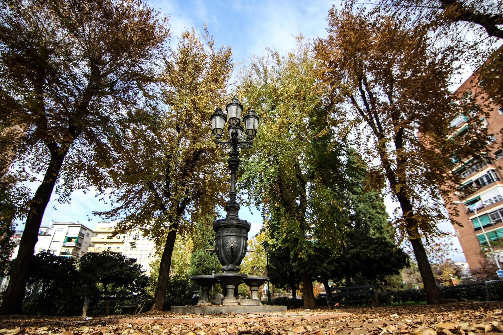 Las empresas de jardines que trabajan en la ciudad tienen el mismo programa y podría 'casarse' para unificar información.