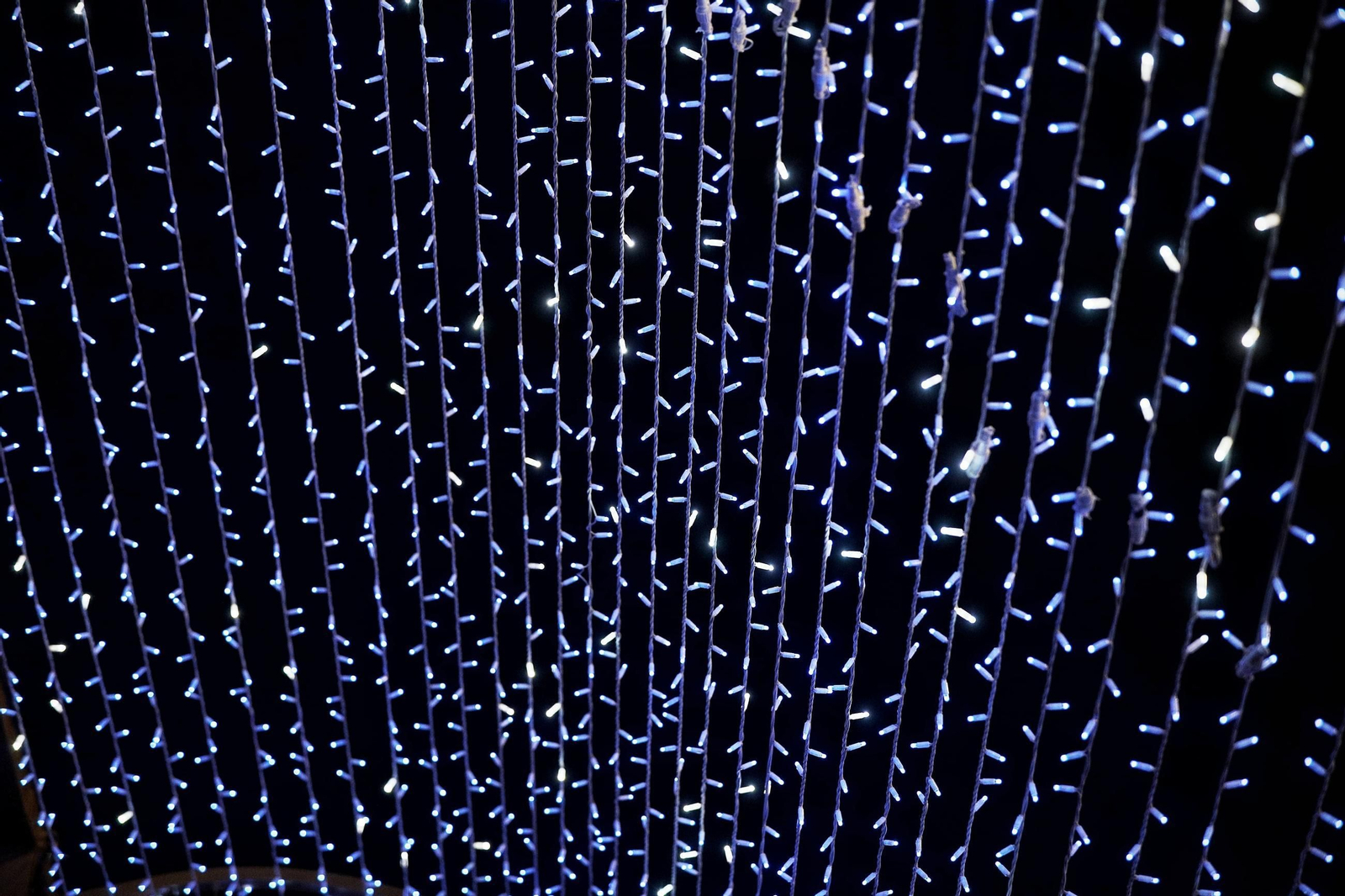 Imágenes de la inauguración del Canal de Cádiz Fenicia en la plaza de la Catedral