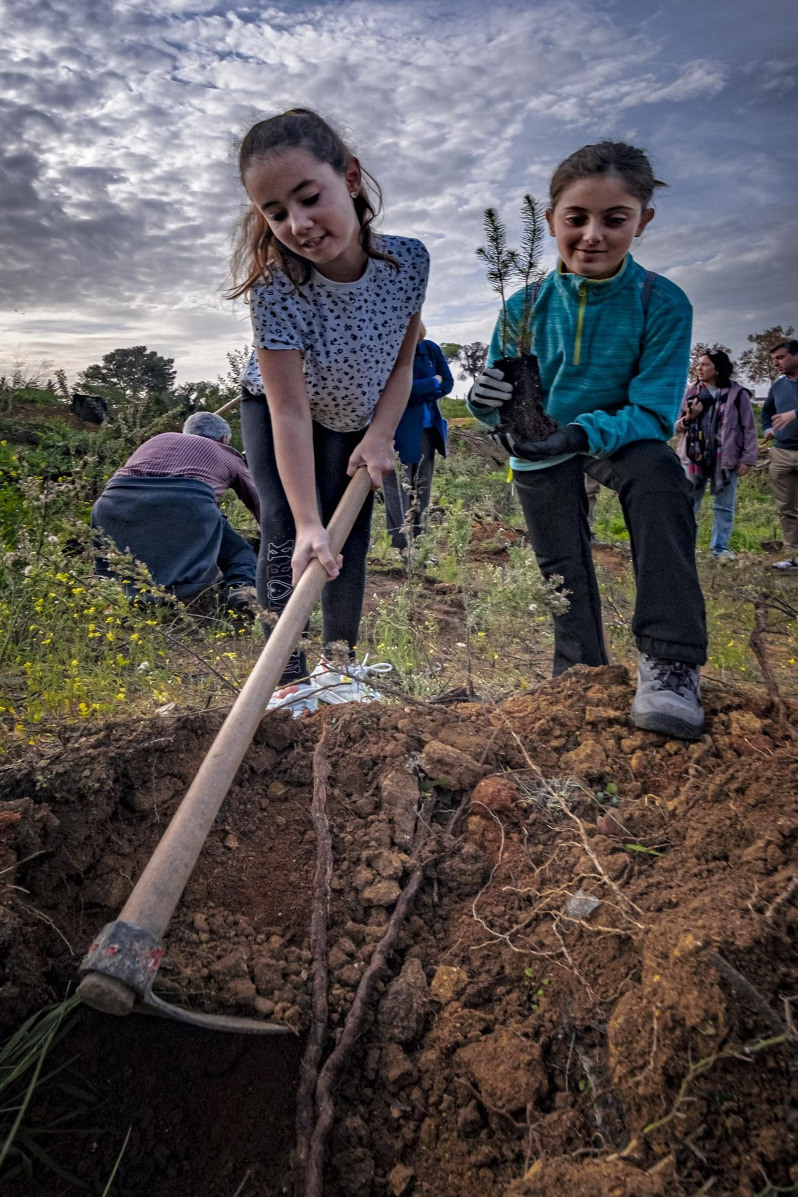 Las imágenes de escolares reforestando el pinar de Las Canteras de Puerto Real.