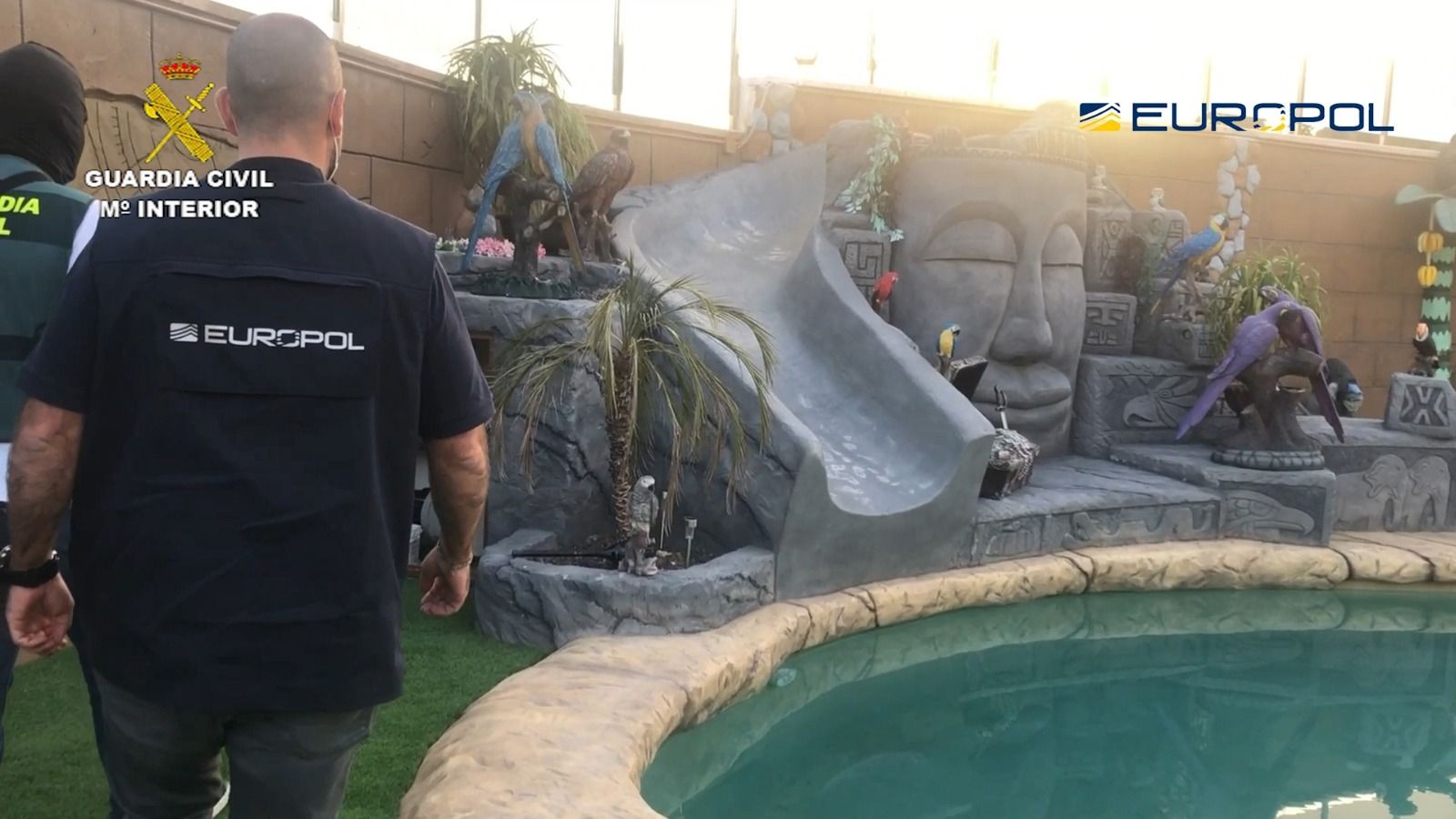 Fotos de la Operación Tortilla contra el narco en el Campo de Gibraltar