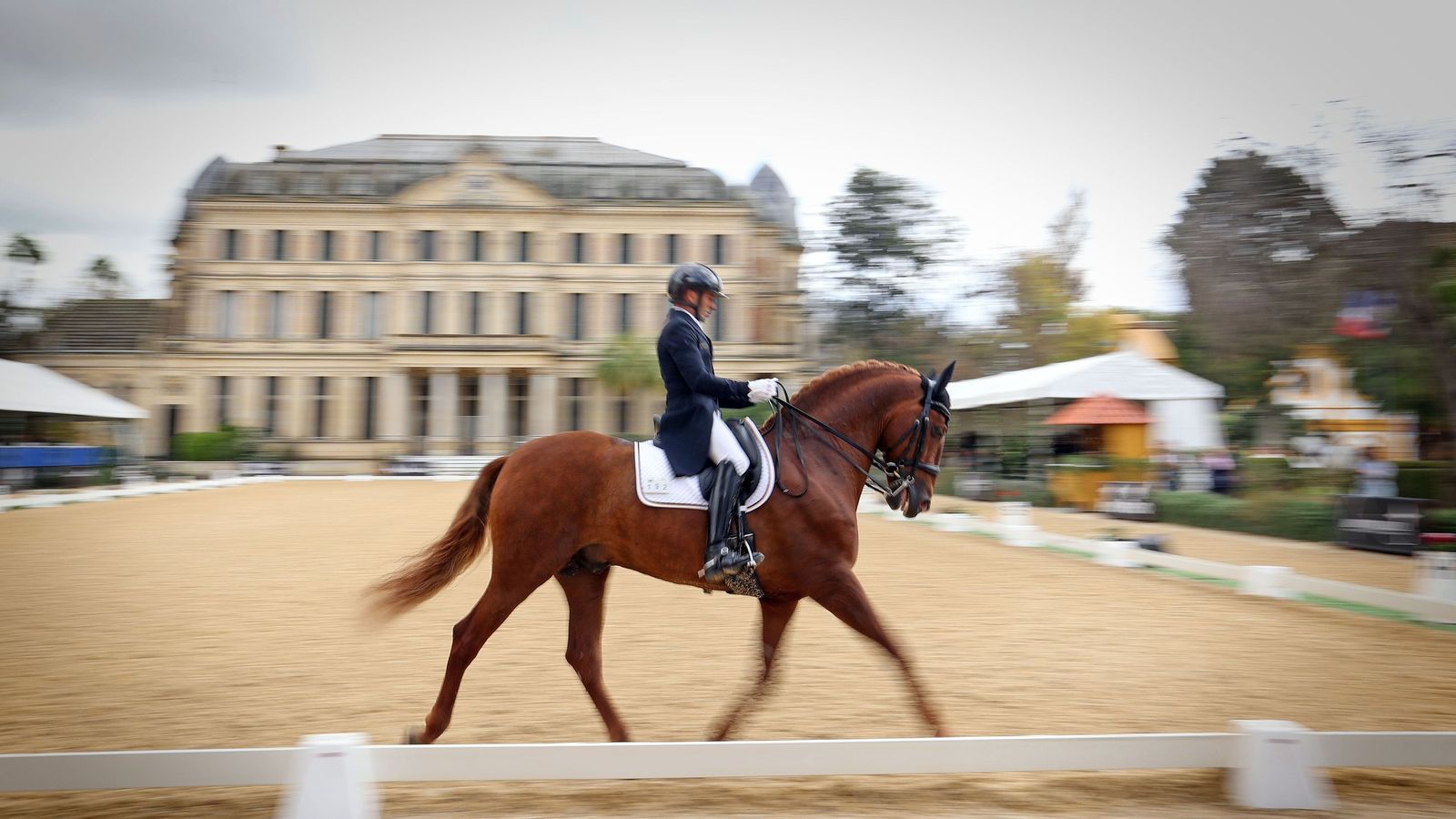 Concurso Internacional de Doma Clásica en La Real Escuela de Jerez