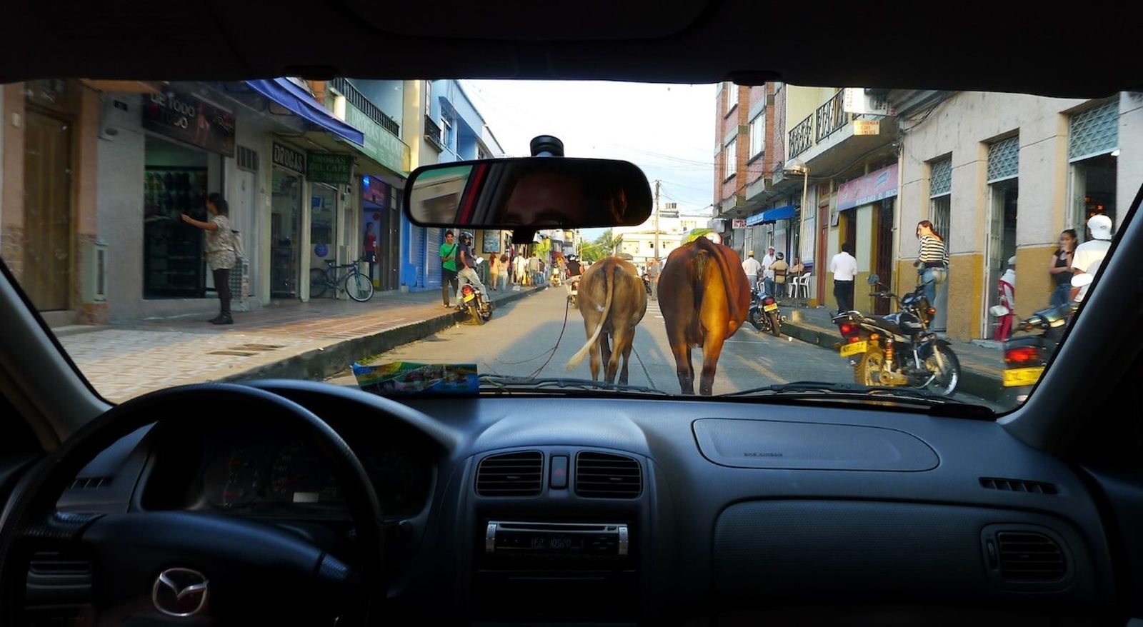 Travesía por el eje cafetero. Colombia.