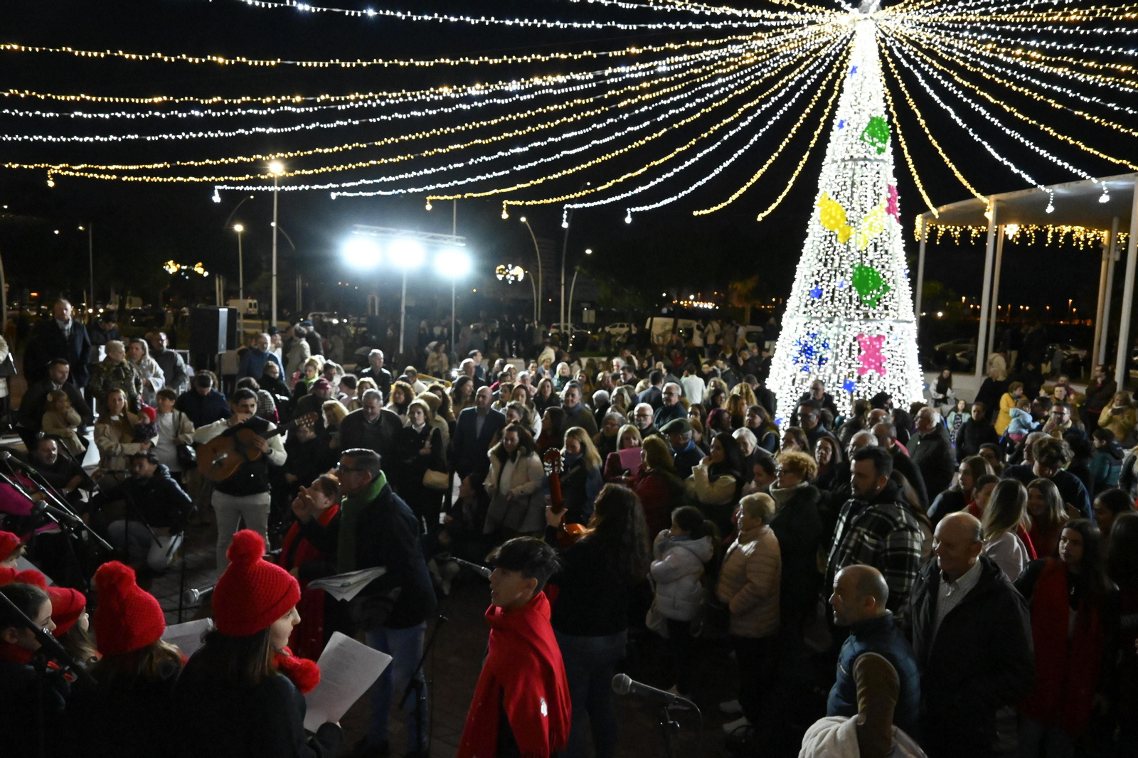 Alumbrado del Puerto de Huelva, en imágenes