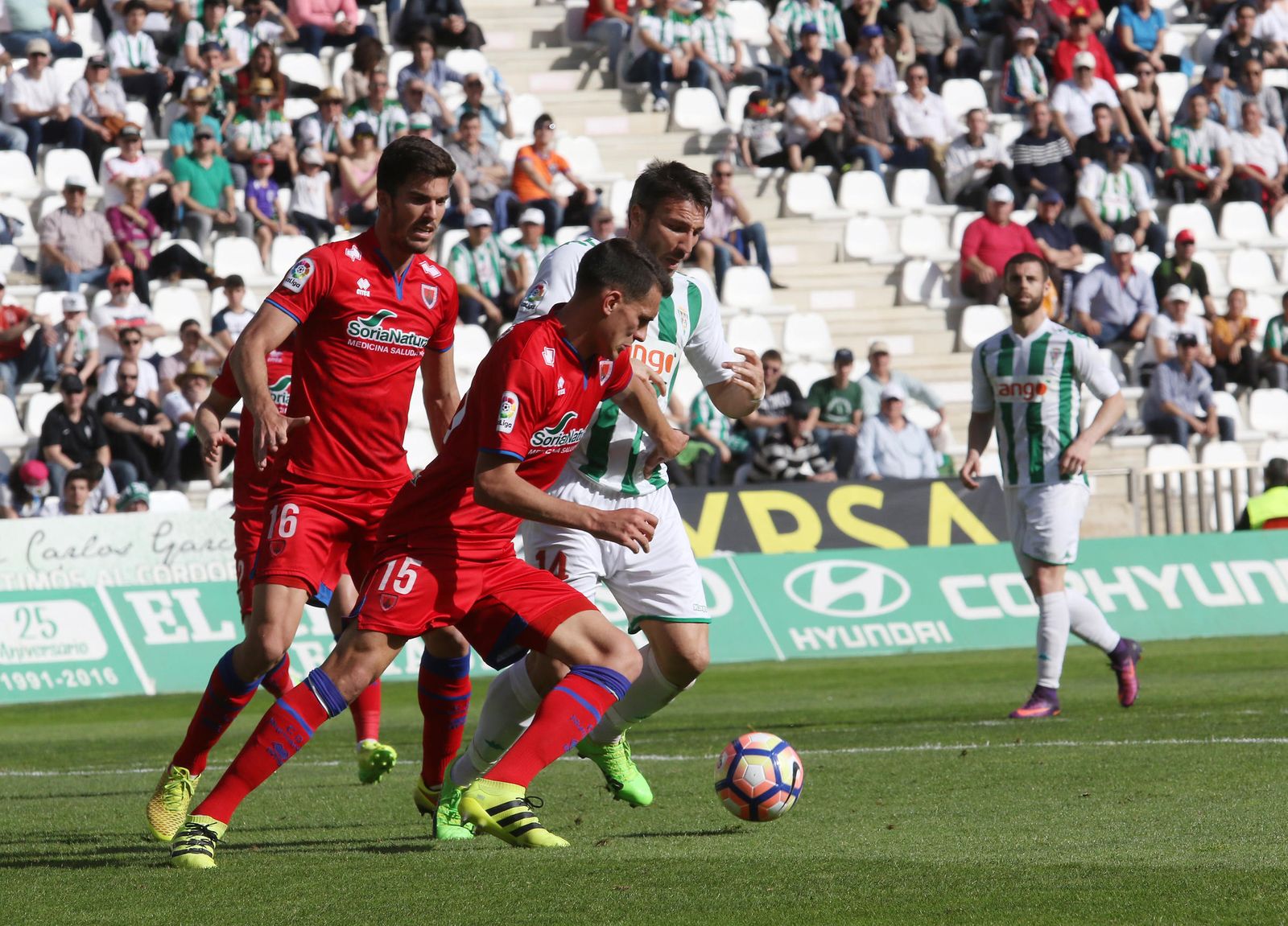 El Córdoba CF-Numancia, en imágenes