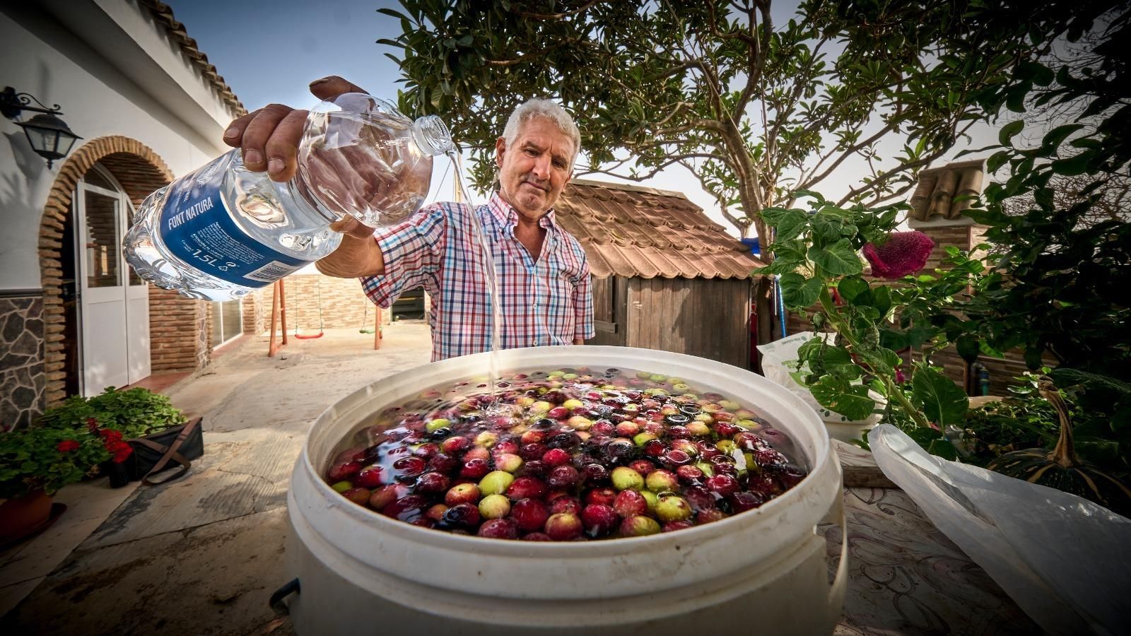 Aliñando aceitunas con agua mineral.