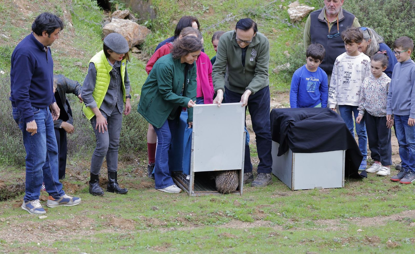 Wando y Wadala liberados en Lora del Rio