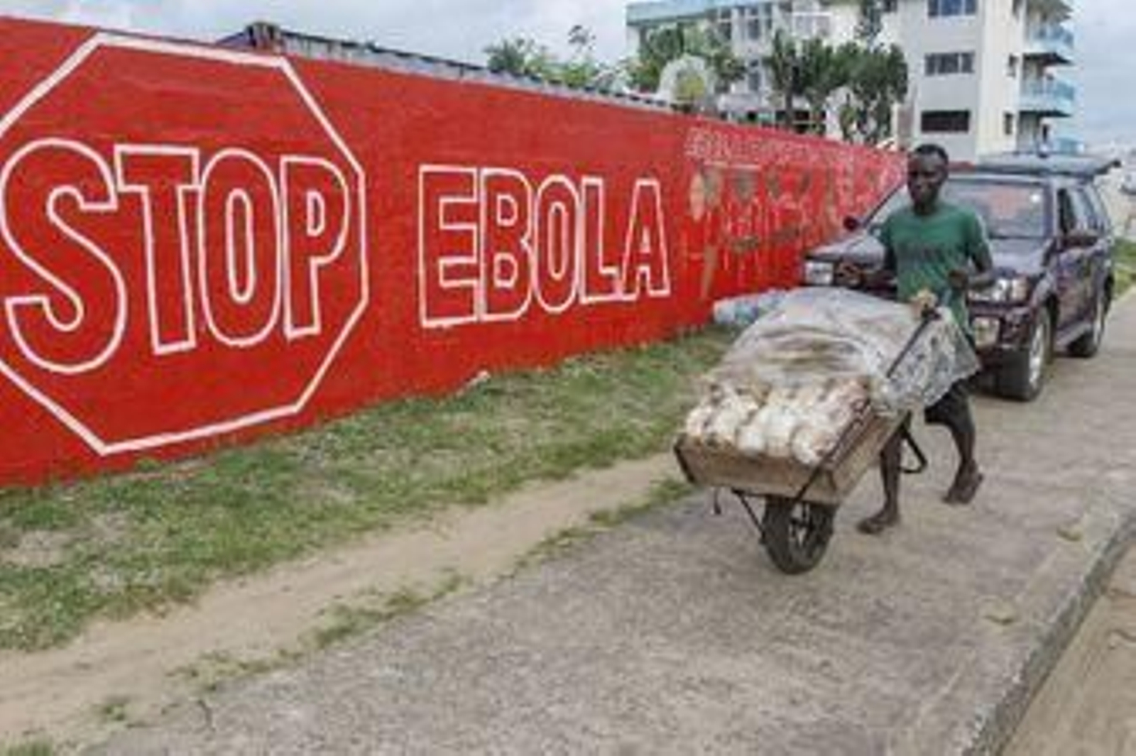 Ébola: verdades y mentiras de un virus que alerta al mundo