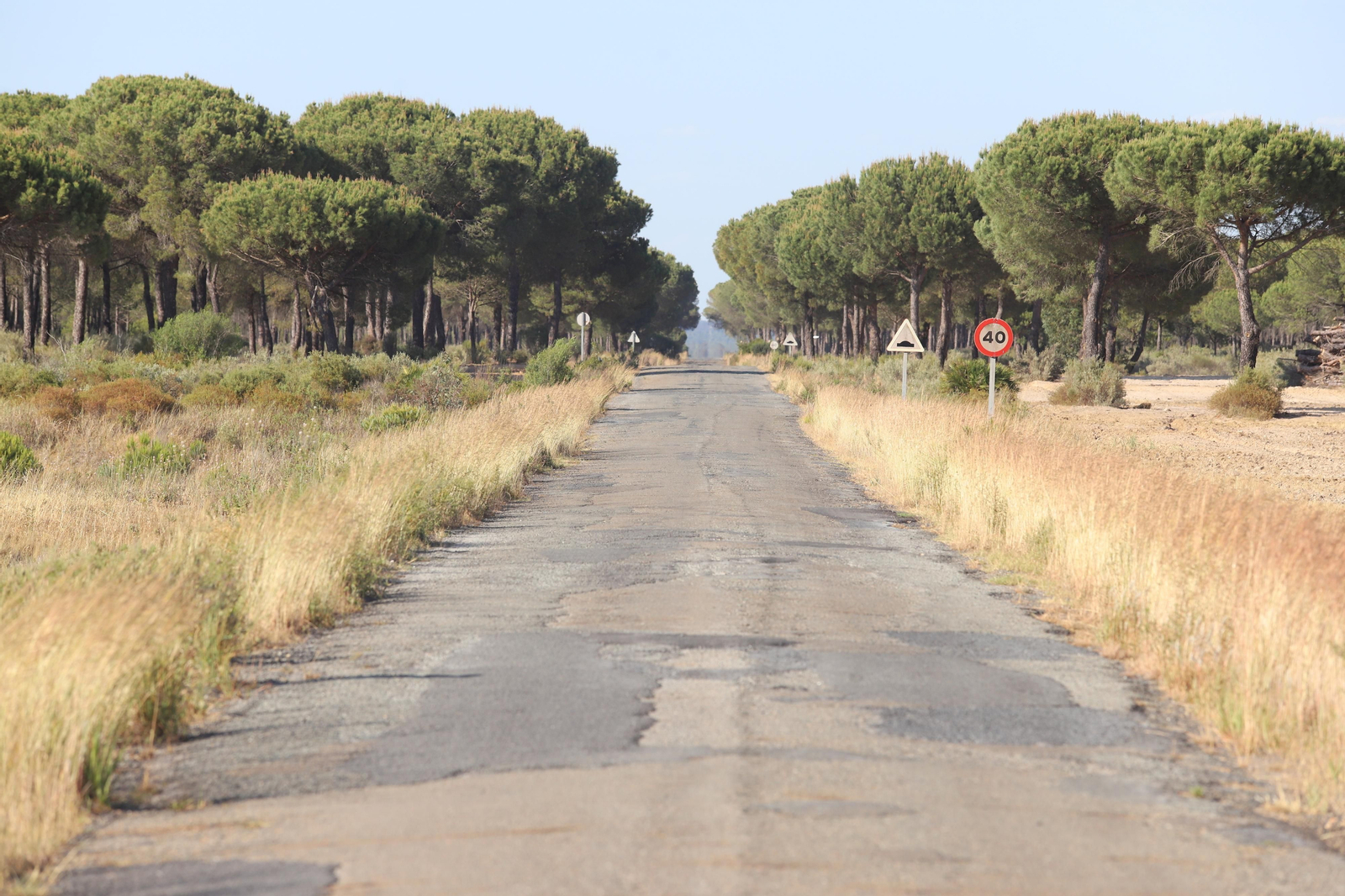 Imágenes del estado en el que se encuentran los caminos del Rocío para la Romería 2023
