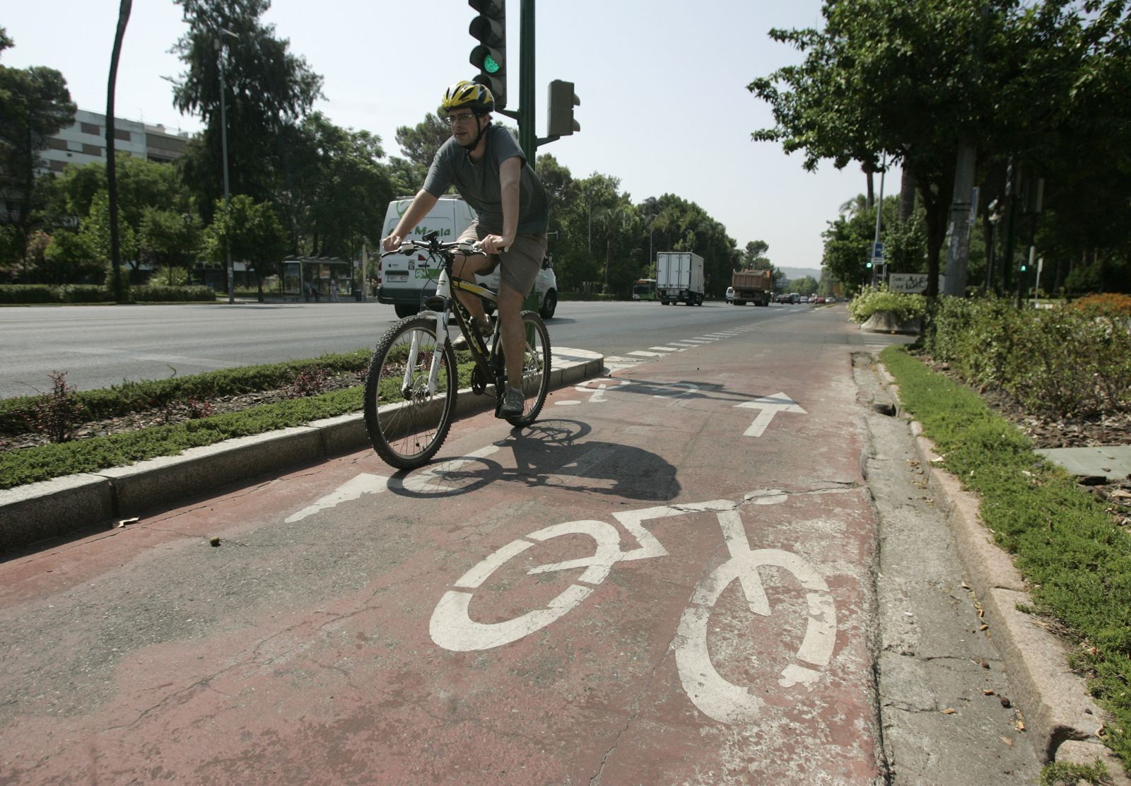 Carril bici en la Avenida Vallellano.