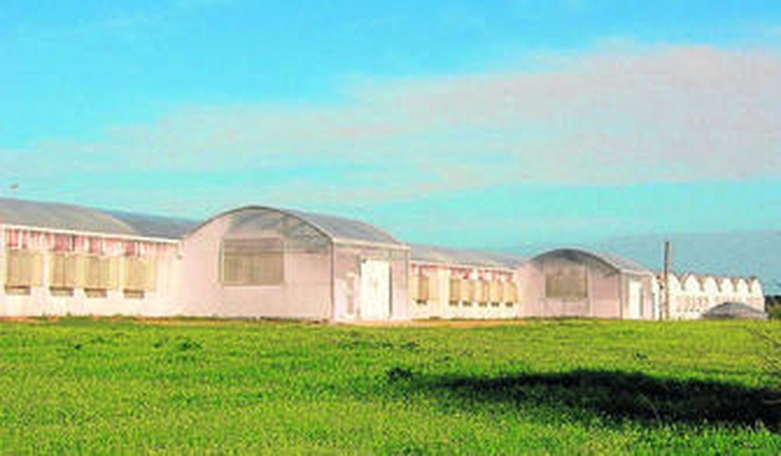 Imagen de las instalaciones de Syngenta Bioline en Faro (Portugal).