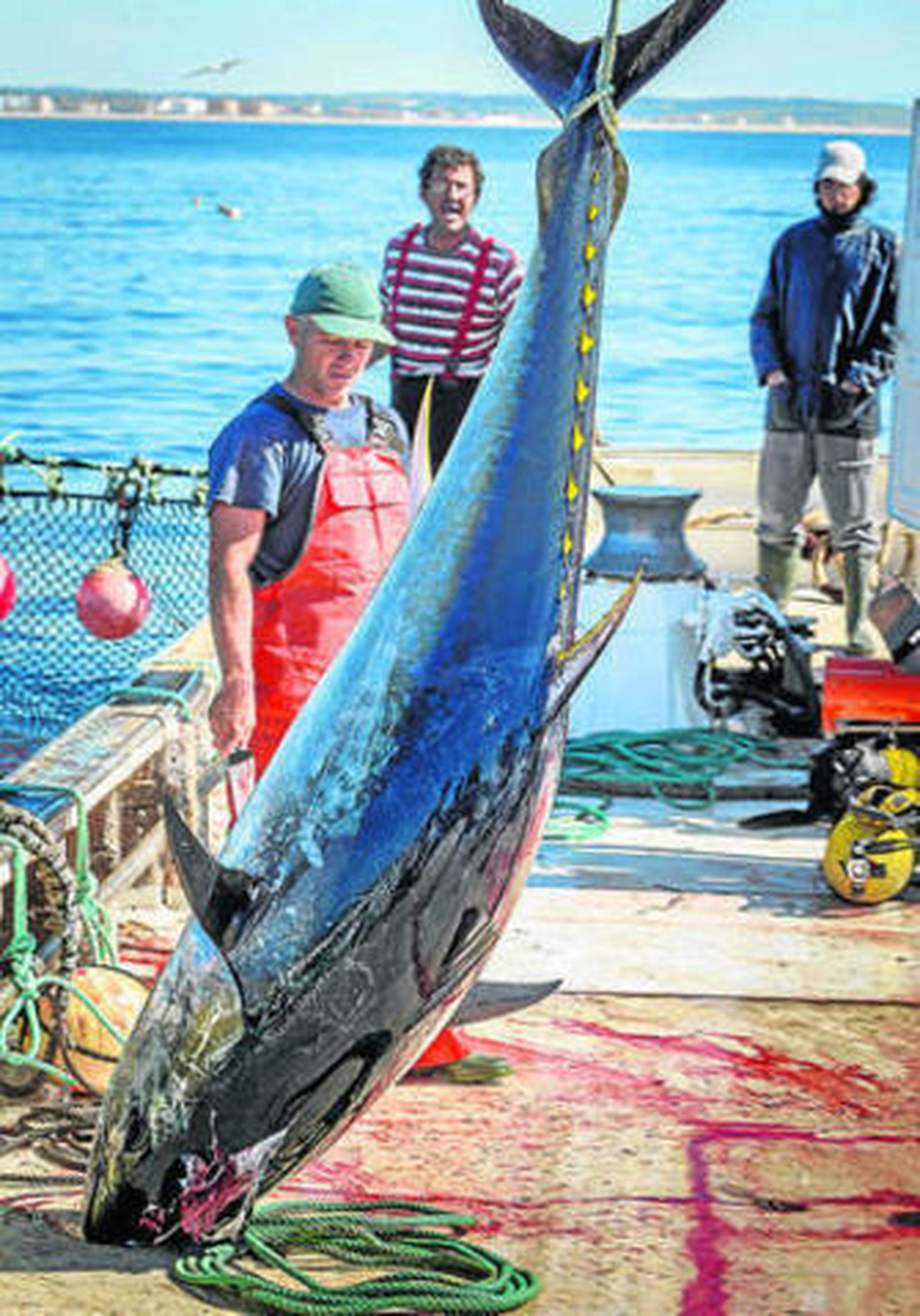 Uno de los primeros atunes capturados en el arranque de la temporada.