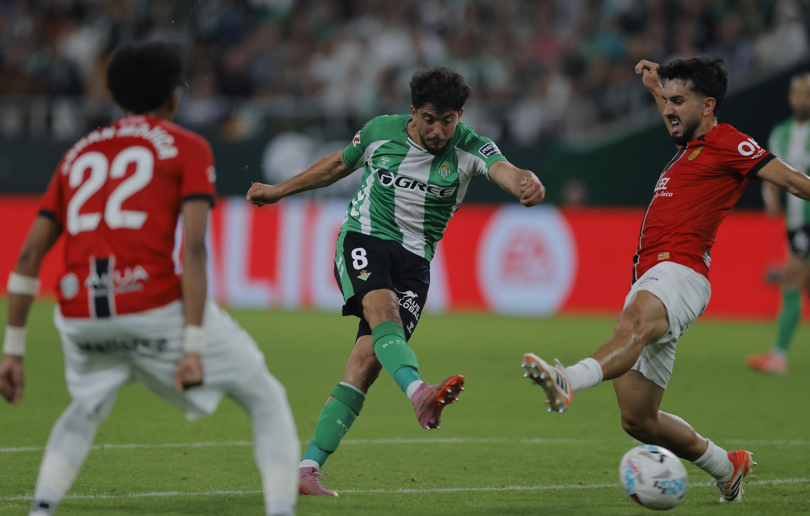 Las fotos del Betis - Mallorca
