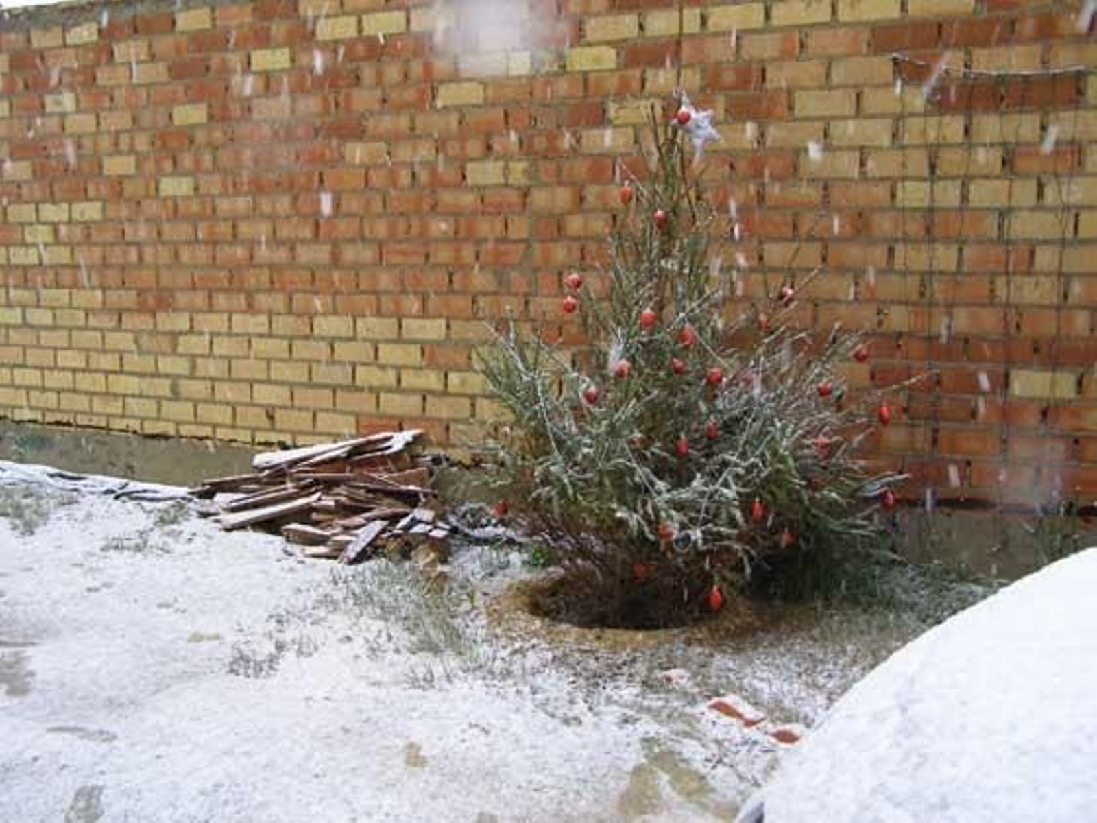 Albaida del Aljarafe.