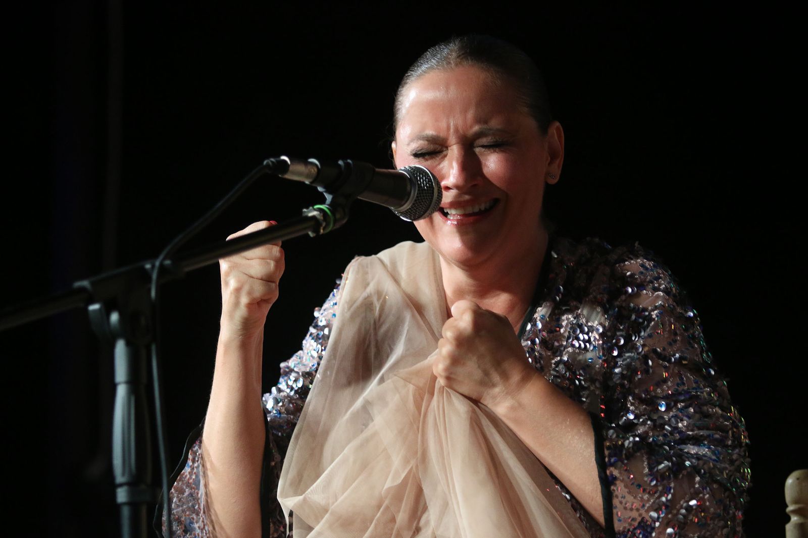 El XXXI Festival Flamenco de Fondón, en imágenes