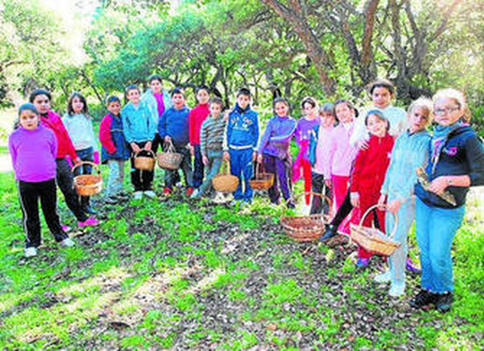1. Los alumnos de Primaria del Aljibe en una de las salidas al campo organizadas esta semana 2. Dos niños muestran setas junto a las mesas que sirven de exposición en el centro 3. Los estudiantes preparados con el material imprescindible para recolectar setas en el parque natural 3. Alumnas posan con especies que ya son bien conocidas en el colegio  5. Dos setas mortales de necesidad que pueden encontrase en el parque natural, la Amanita pantherina (izq.) y la Amanita phalloides (der.)