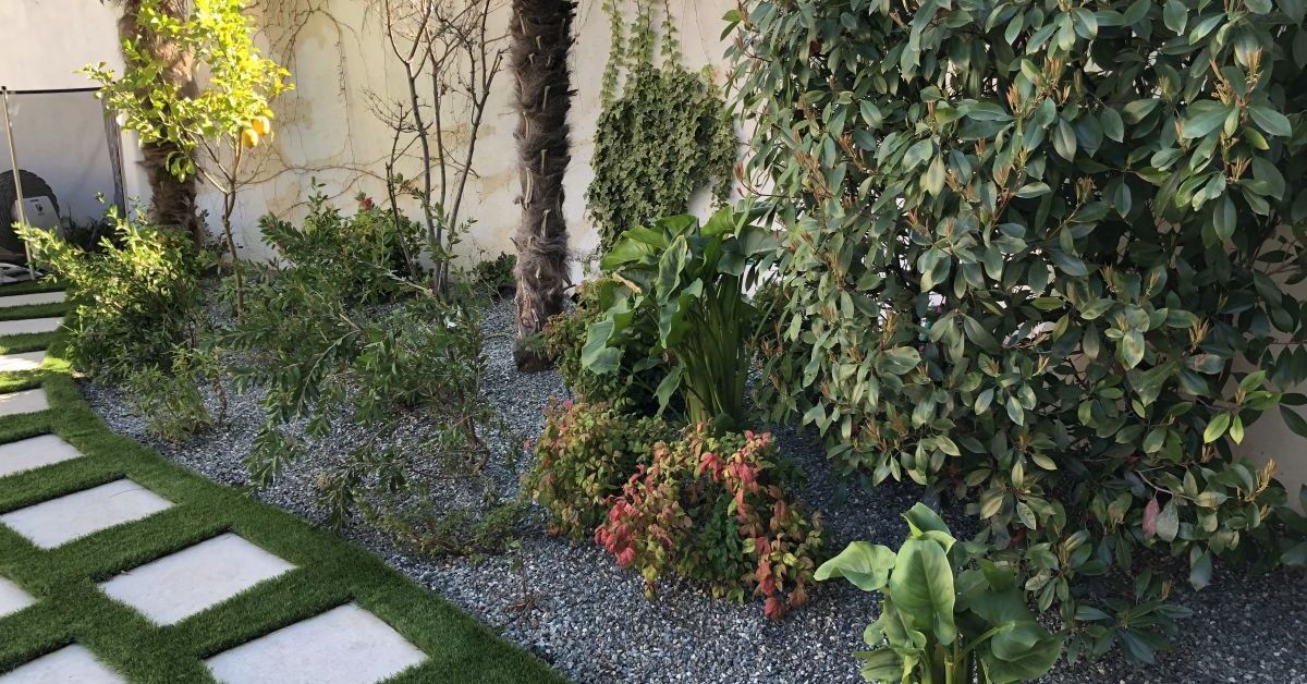 Un propietario de vivienda puede denunciar al vecino por árboles que invaden su terreno: esta es la sanción que marca la ley