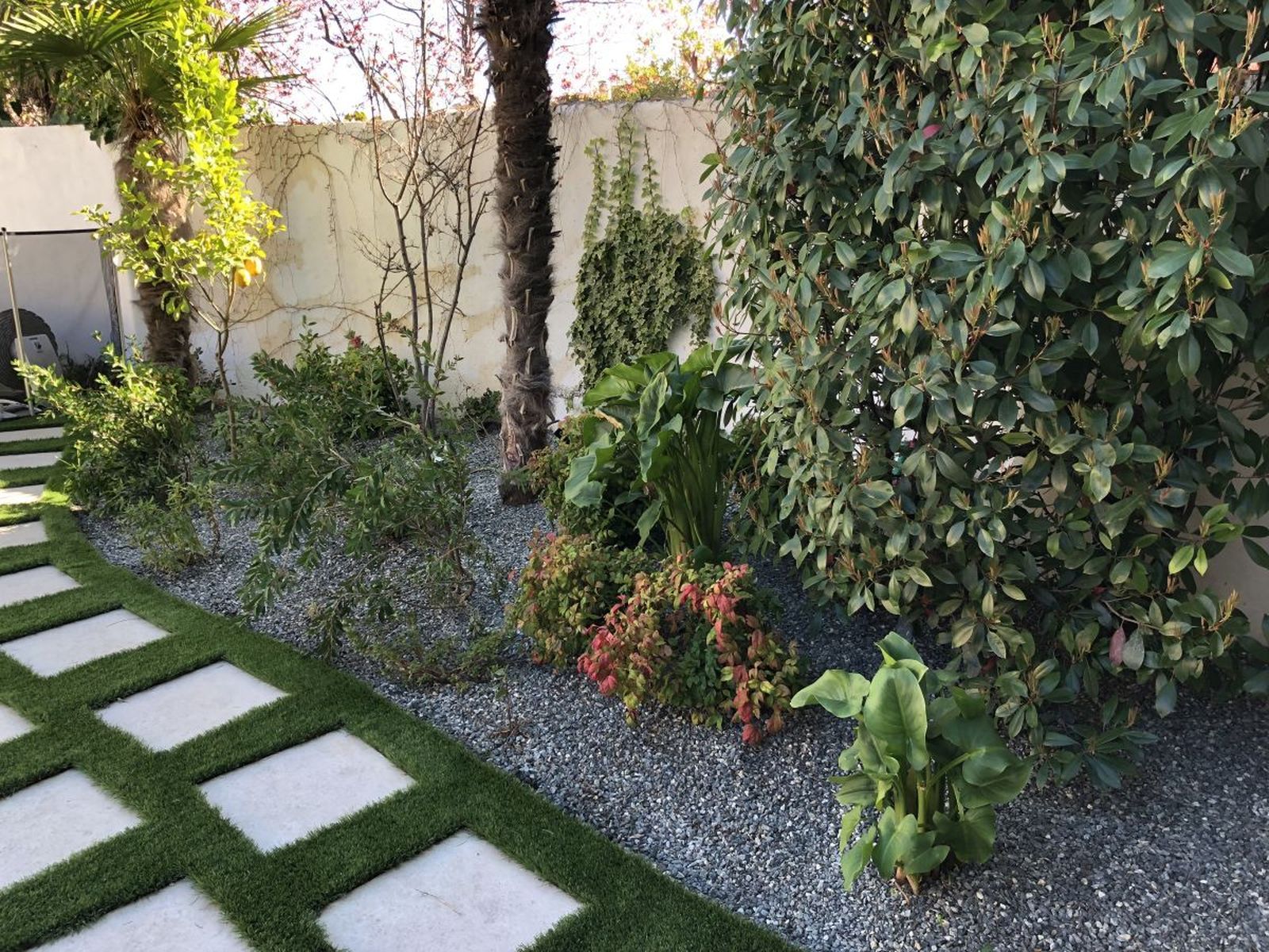 Árboles en un jardín adosado