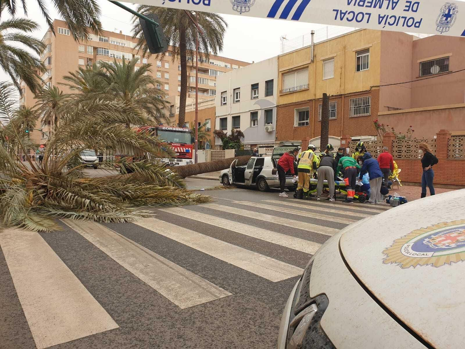 Una palmera causa un brutal accidente en Almería