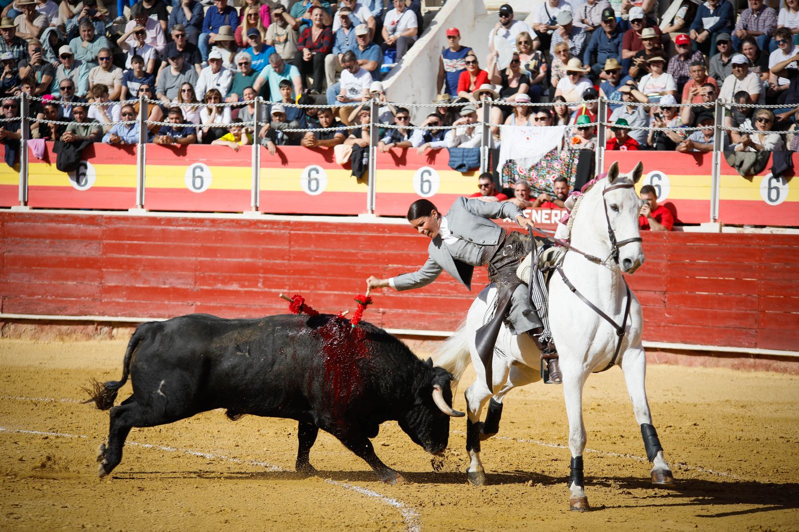 Imágenes del festival mixto lucha contra el cáncer