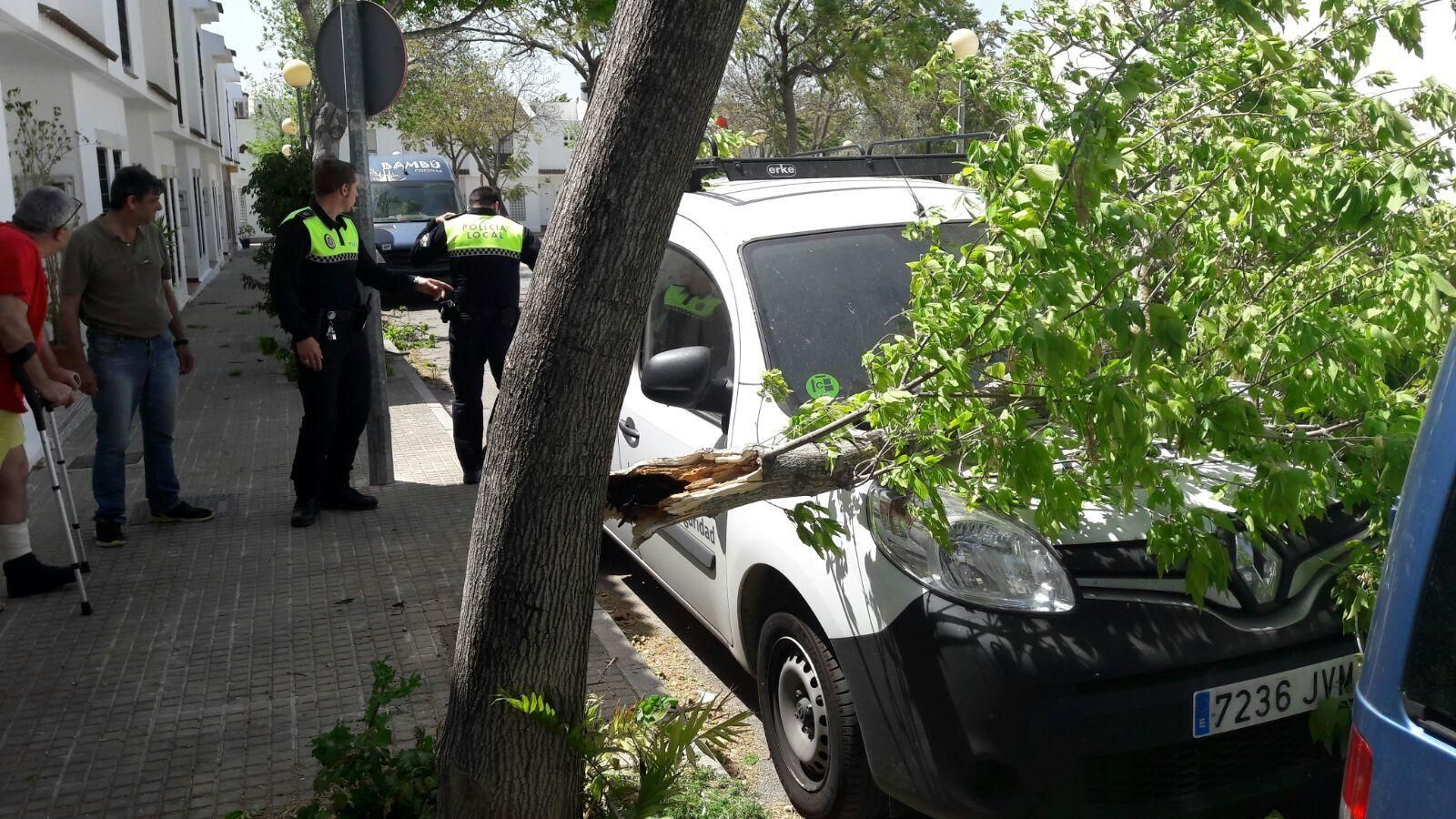 Las imágenes del temporal de viento en Jerez