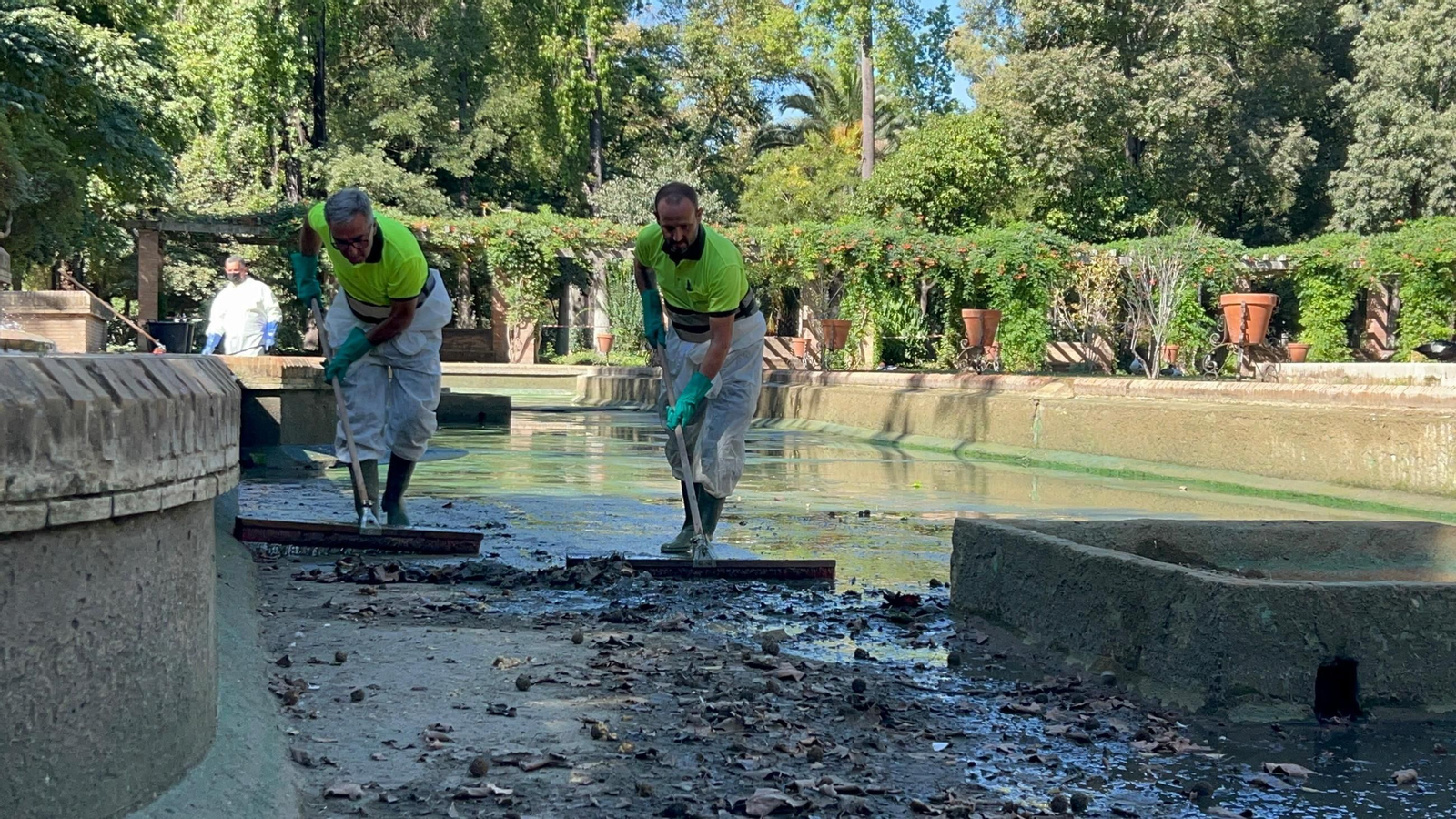 Varios operarios limpian el estanque de Los Lotos en el Parque de María Luisa.