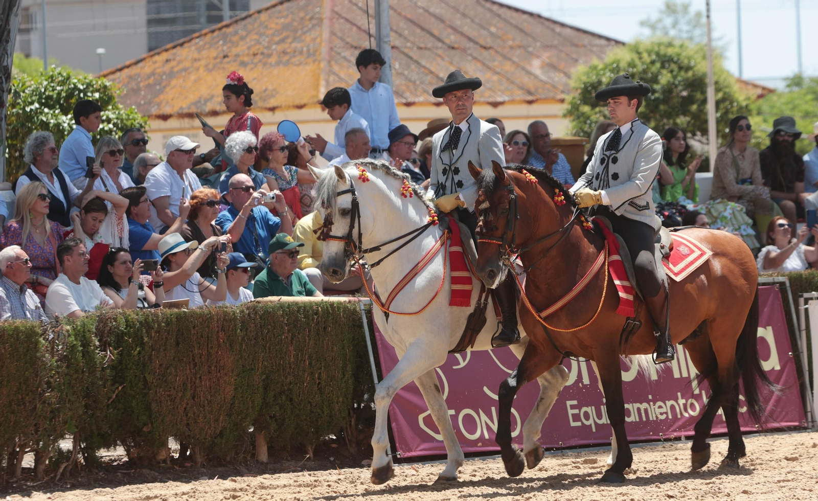 Entrega del Caballo de Oro Jerez 2024 a Francisco Dorante