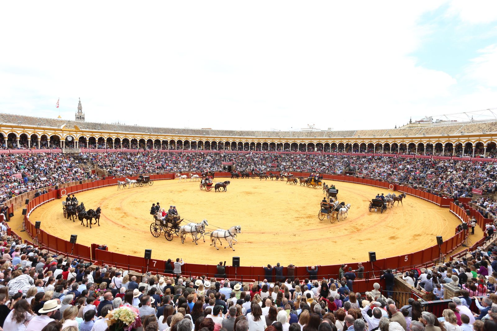 La pasada edición de la exhibición del Real Club de Enganches de Andalucía en la Maestranza.