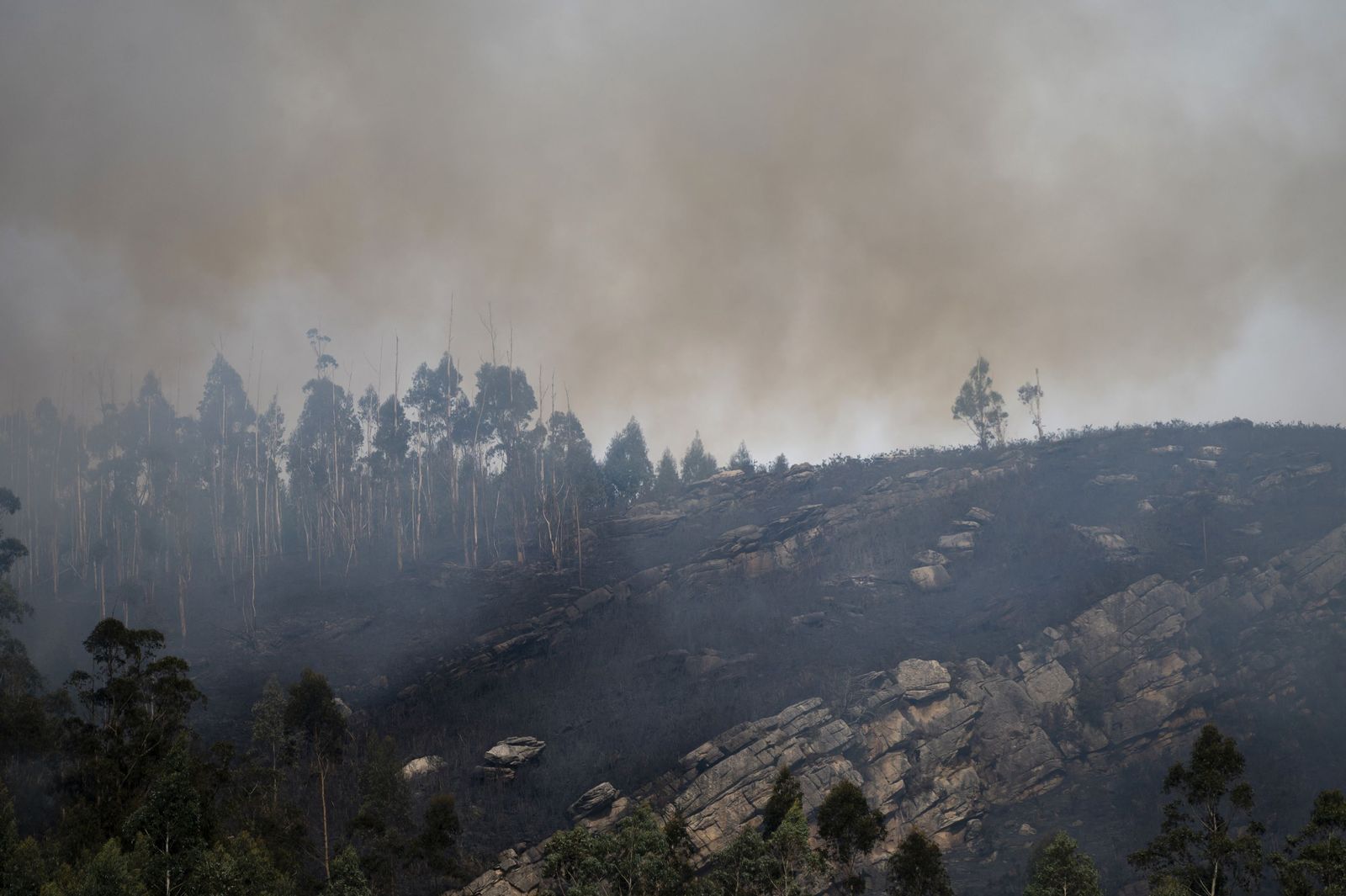 Incendio en Asturias.