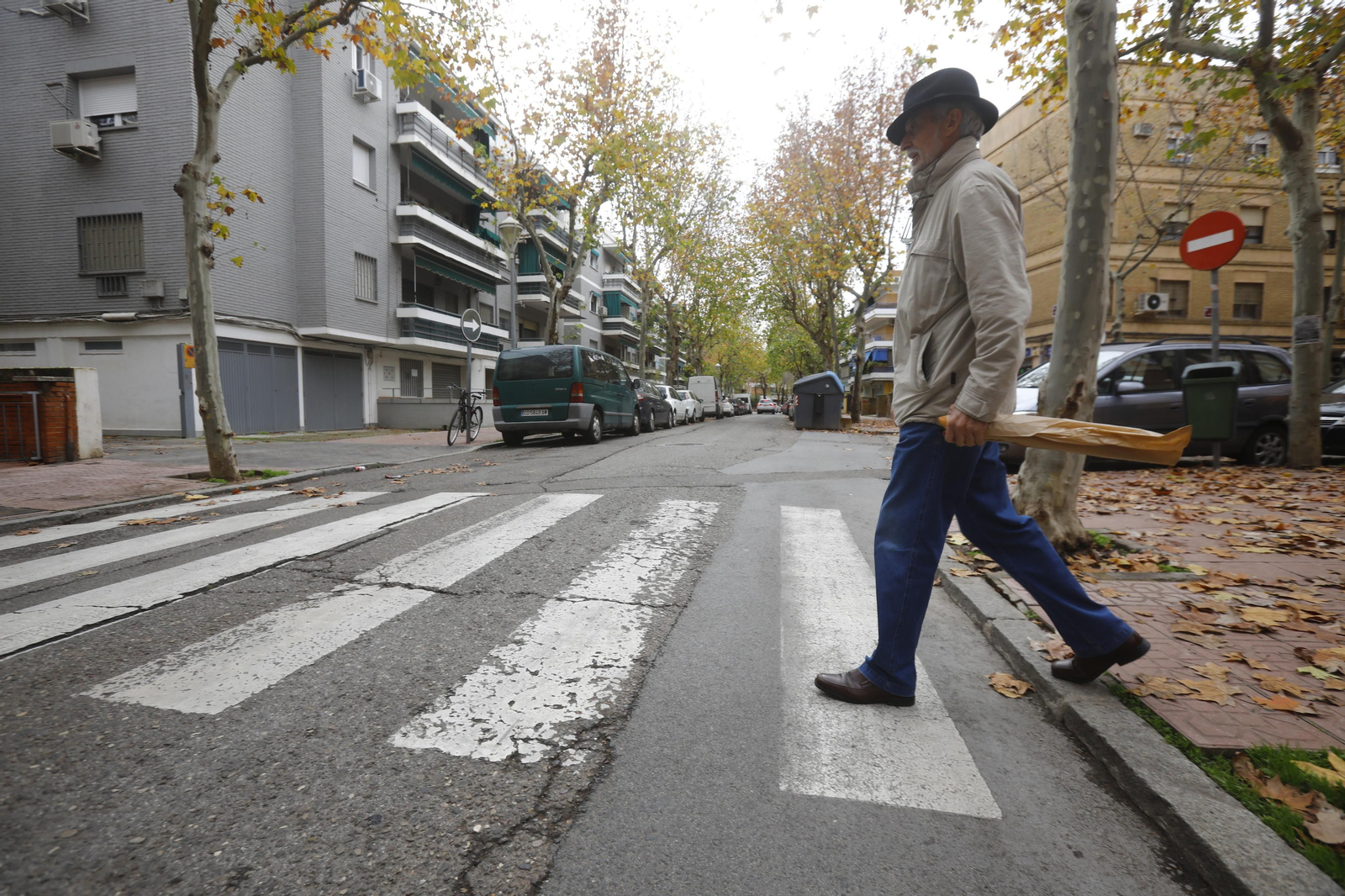 Imágenes de algunos de los pasos de peatones de Córdoba en los que se mejorará la accesibilidad