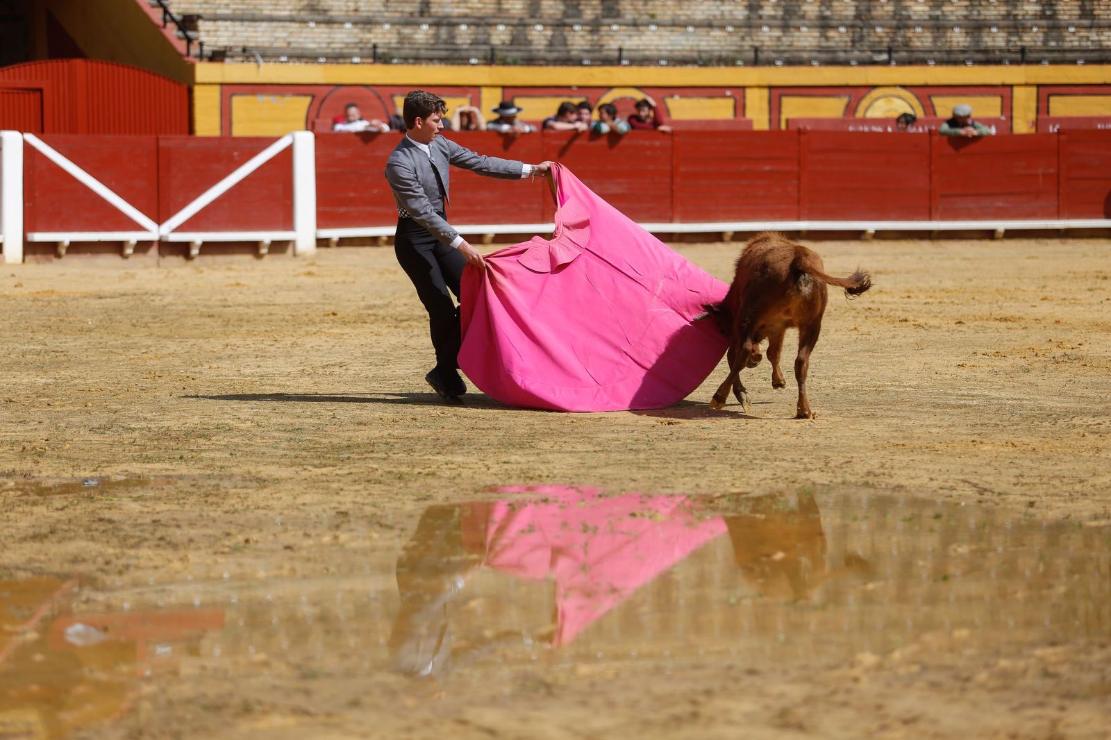 La clase magistral solidaria de Miguelete en la plaza de toros de Las Palomas de Algeciras, en imágenes