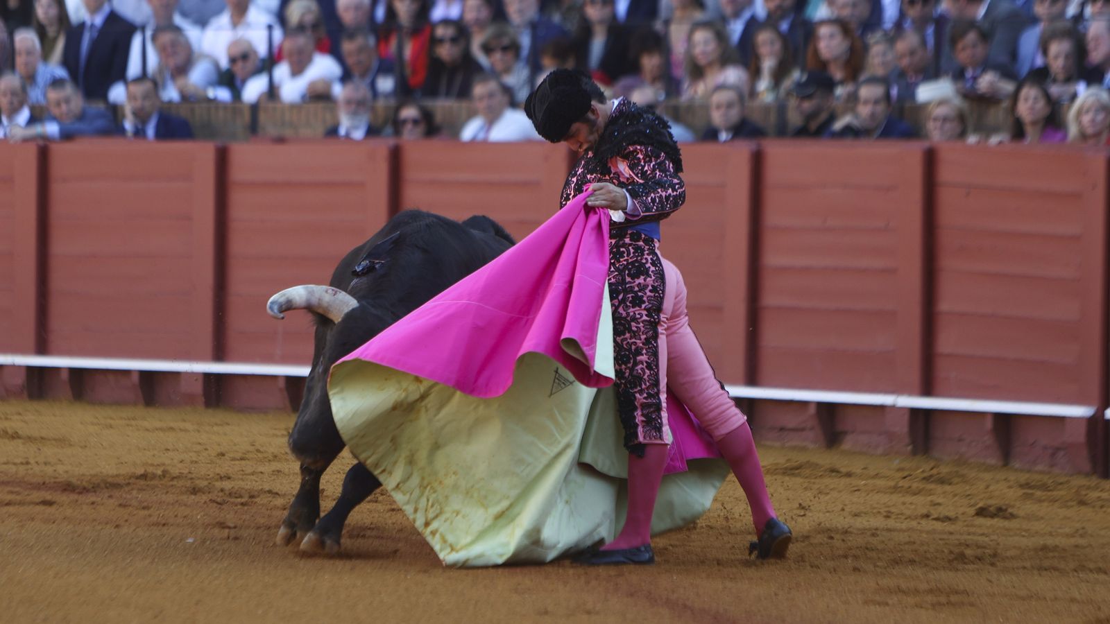 Verónica de Morante al toro que abrió plaza, ‘Mágico’.