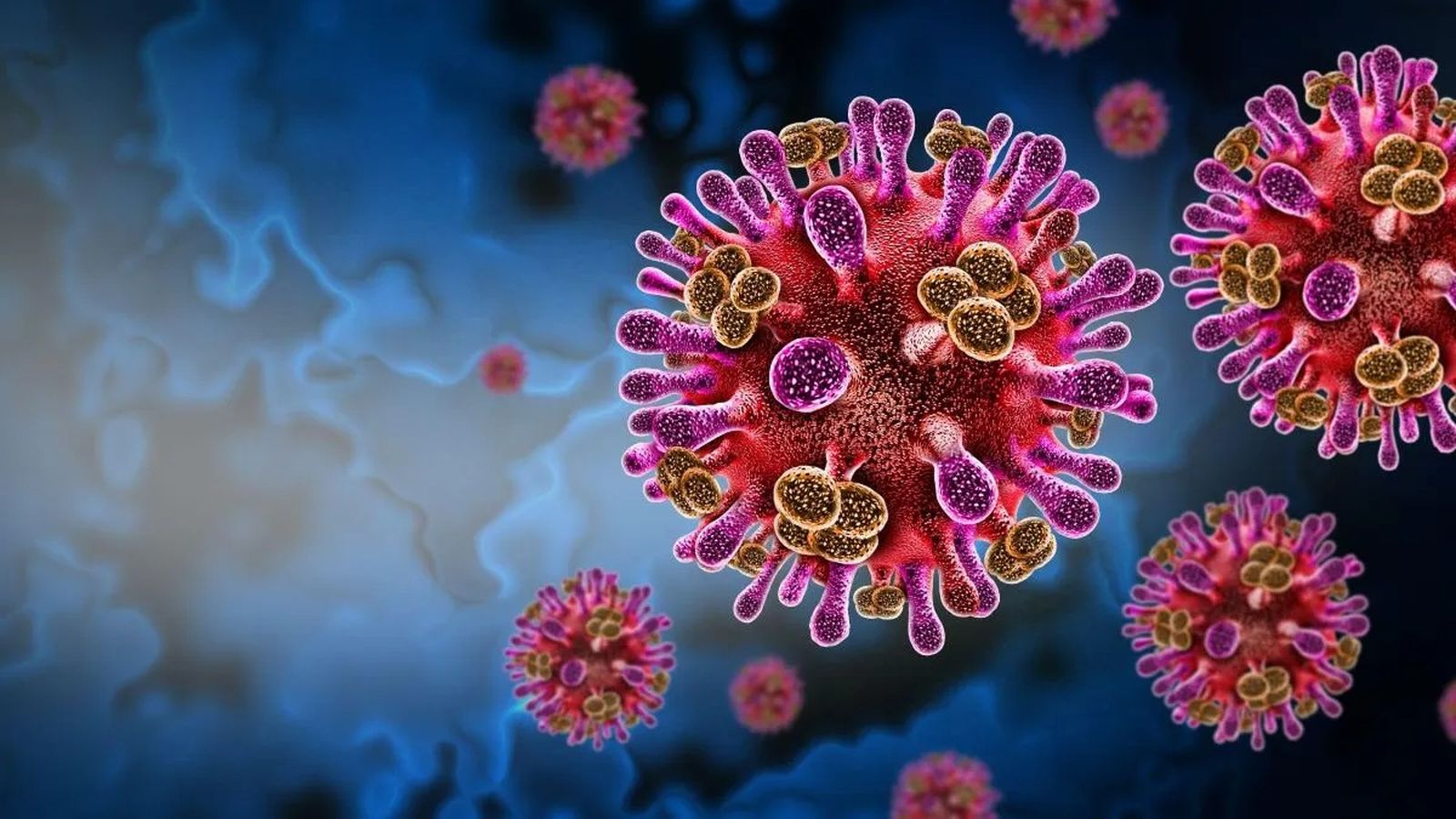 Morfología del virus Nipah