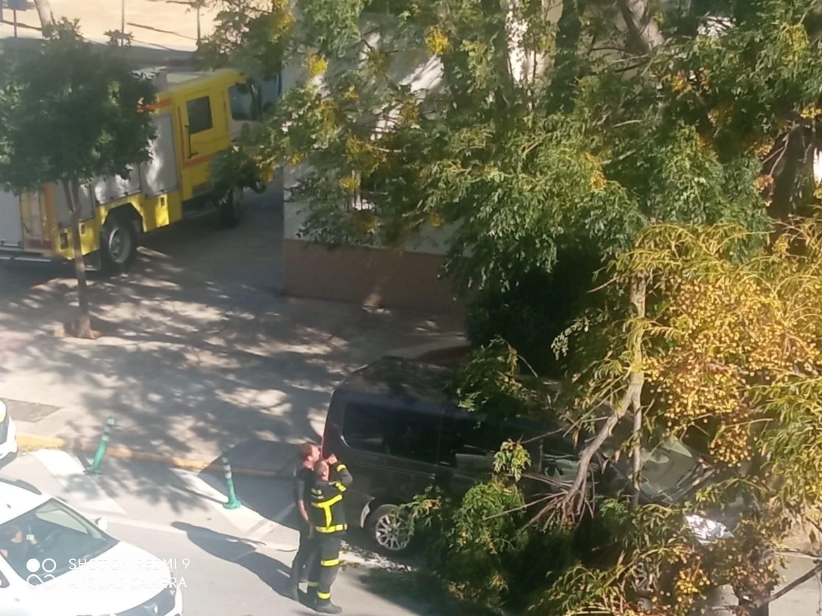 El ramal causó daños en un coche que estaba aparcado en la zona