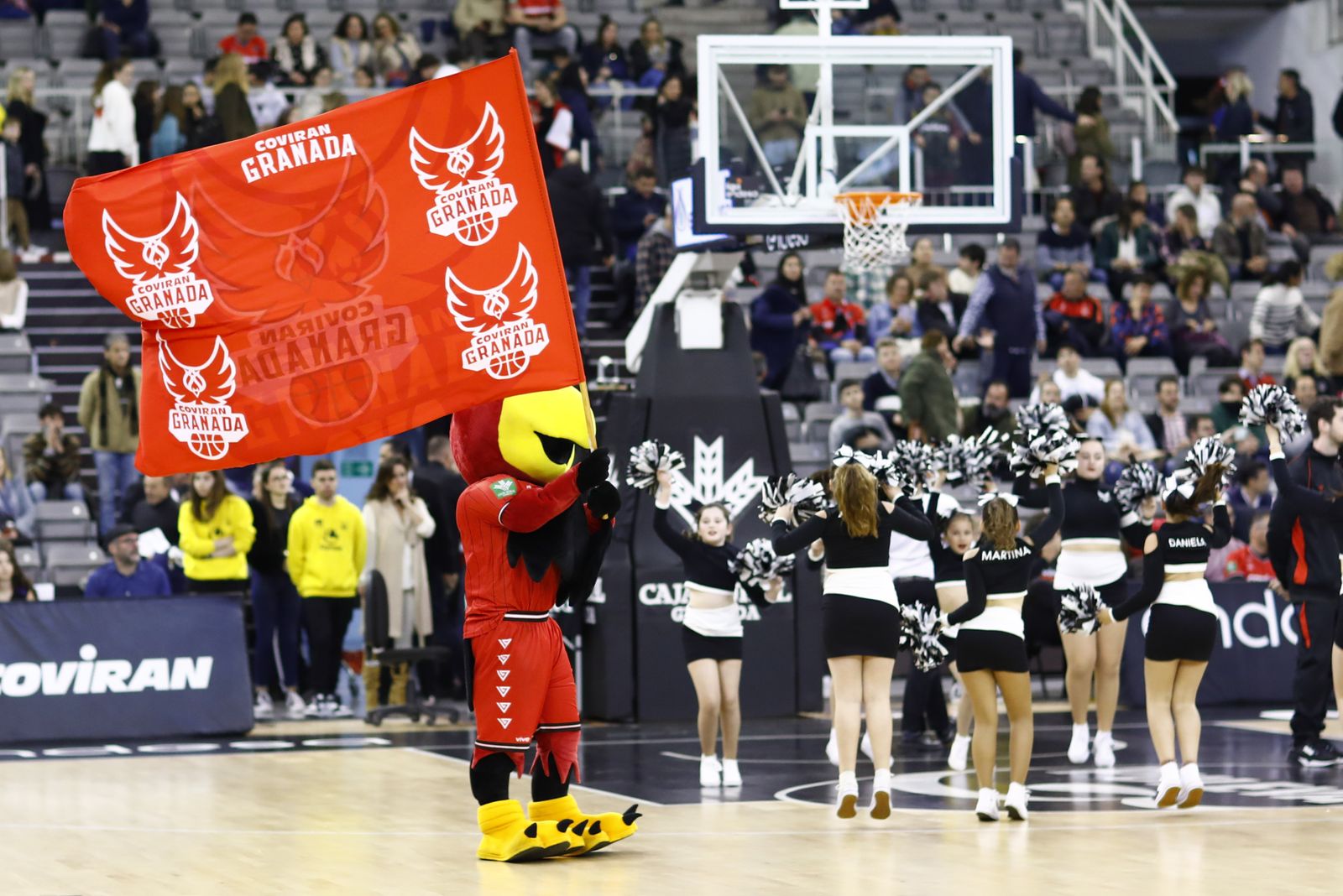 Encuéntrate en el Palacio en el Covirán Granada - Bilbao Basket