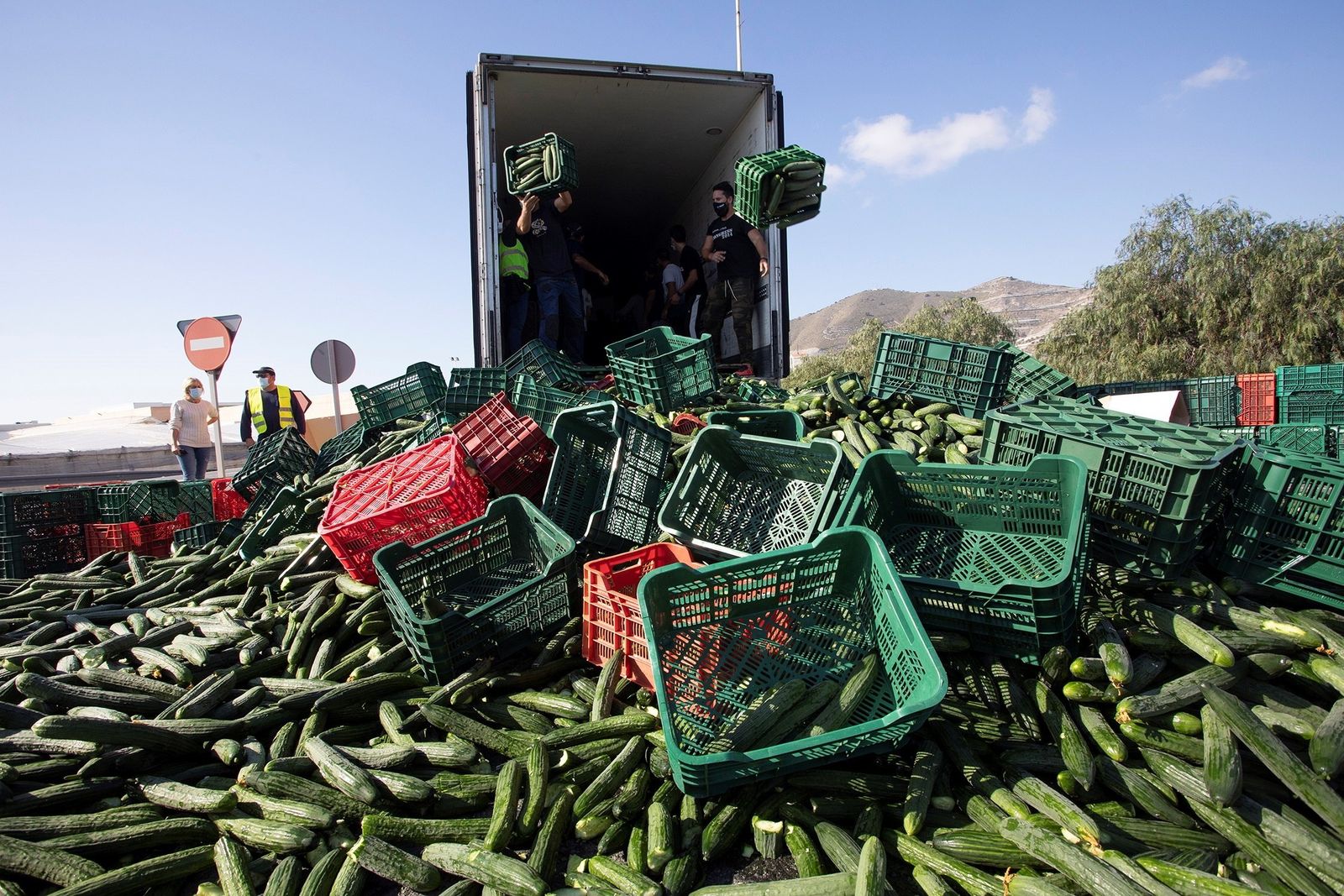 Agricultores tiran los pepinos a la carretera en Carchuna