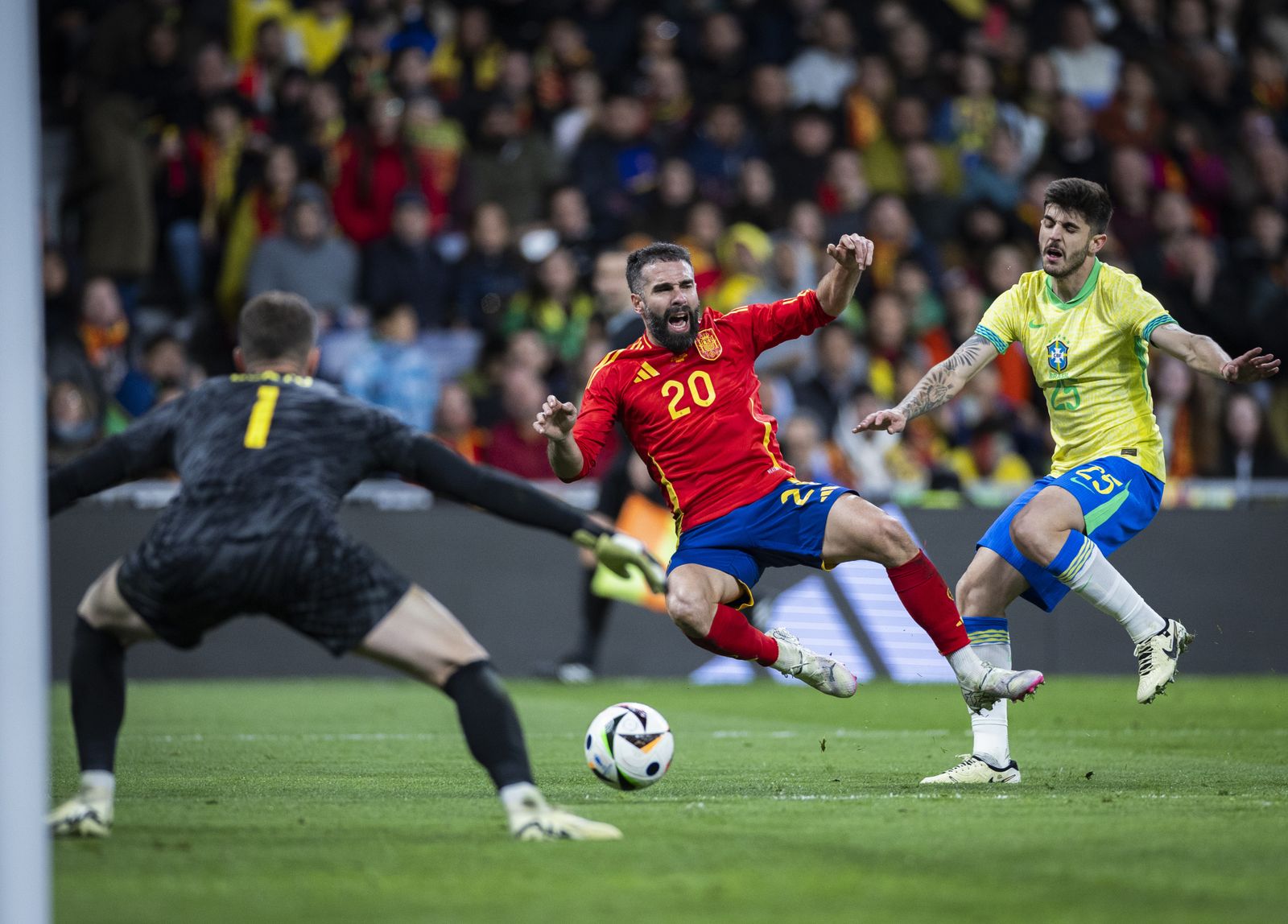 Las fotos del España - Brasil