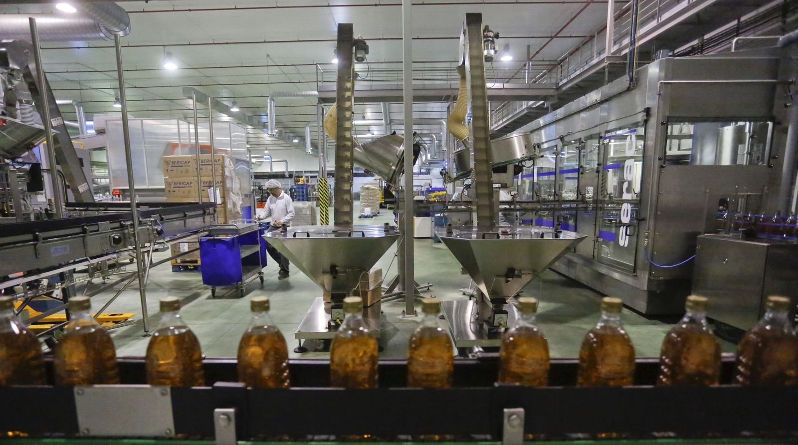 Instalaciones de envasado en la planta de Mercaoleo de Dcoop