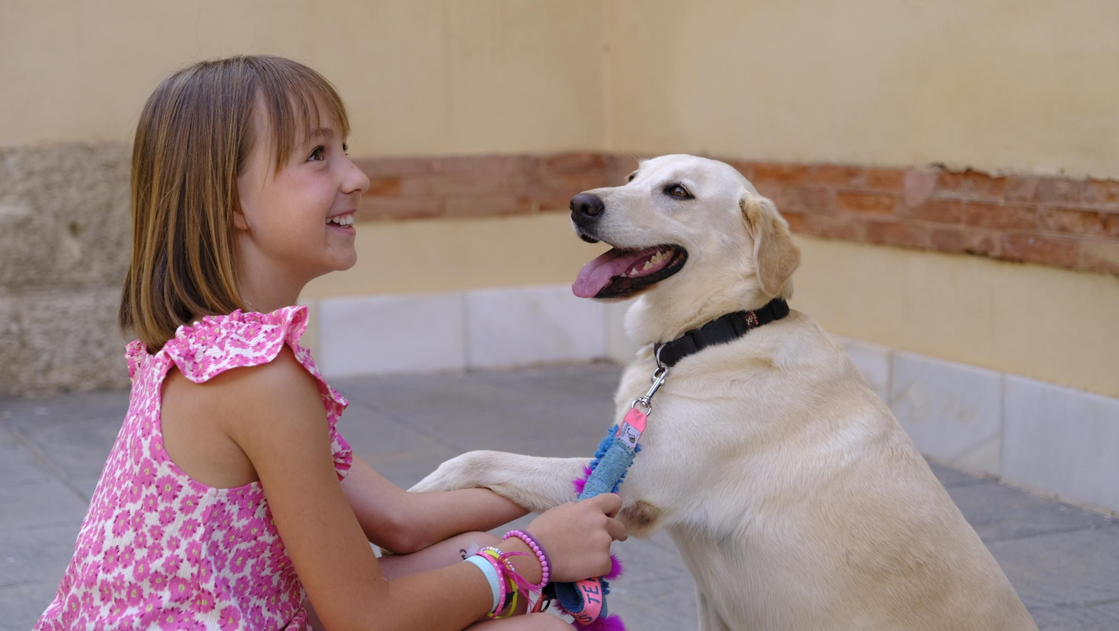 Aria, una perra adoptada, Campeona de España de búsqueda y marcaje de objetos, en imágenes
