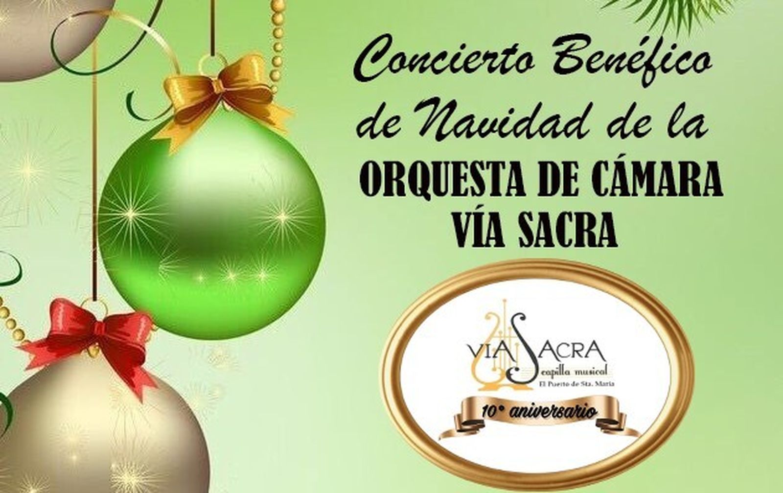 Concierto benéfico de Navidad de la Orquesta de Cámara Vía Sacra.