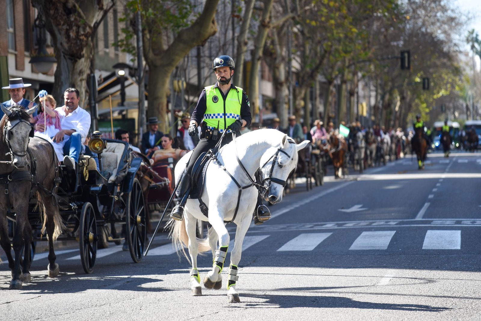 Las mejores imágenes de la Marcha Hípica Córdoba a Caballo del 28F de 2026